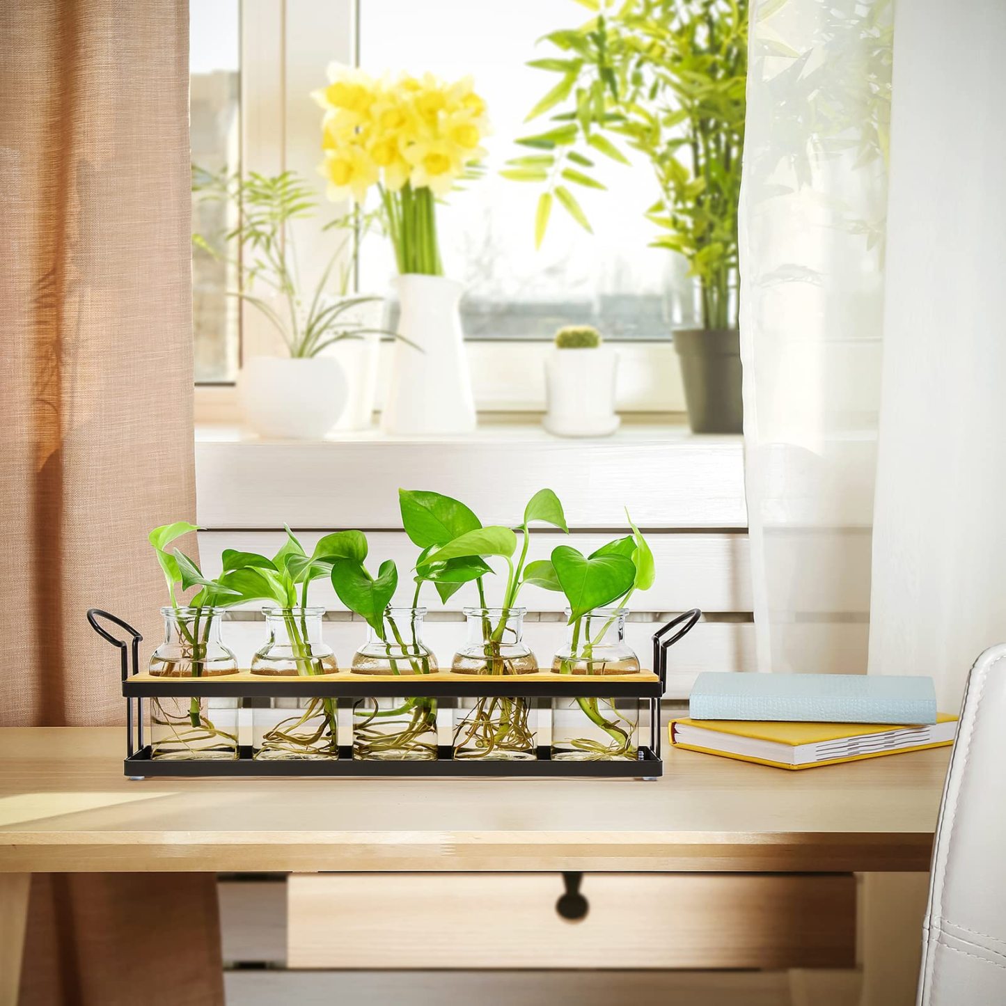 Tabletop Plant Propagation Station with Metal Stand, Retro Glass Hydroponic Planter Vase, 5 Jars Desktop Terrarium for Home Kitchen Office Decor & Plant Lovers Gifts