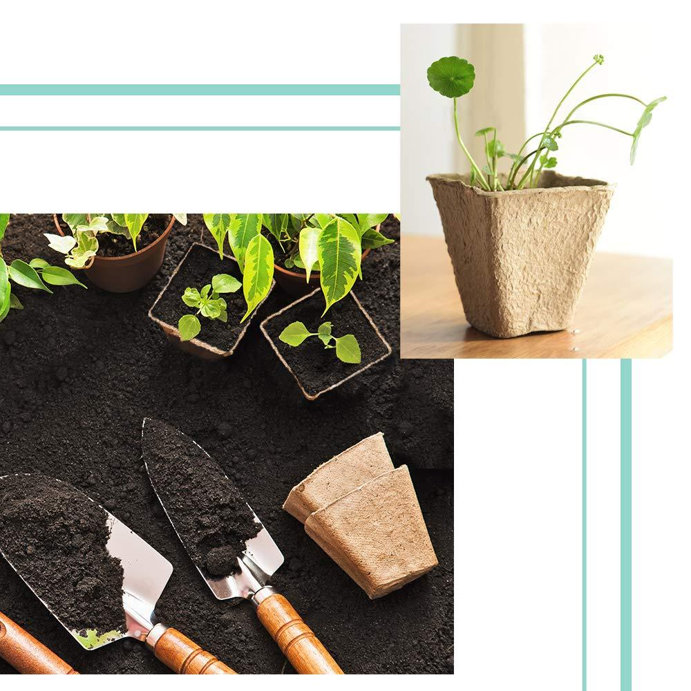 3.25" Biodegradable Peat Seed Starter Pots
