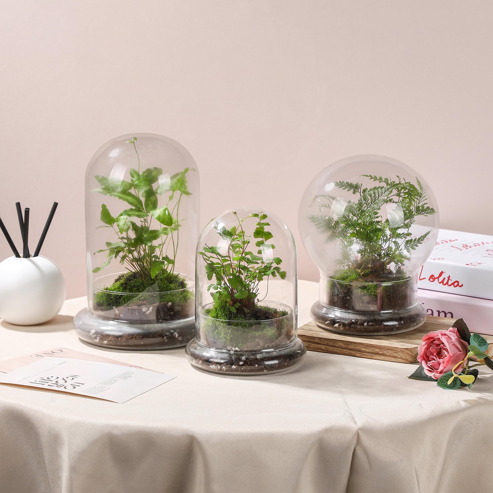 6 Inch Glass Cloche Dome with Base Mini Terrarium Cover Indoor Plant Home Display Decor
