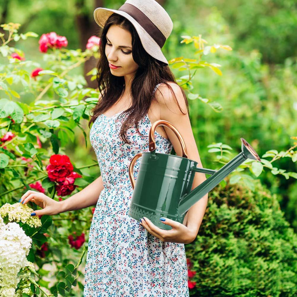 1 Gallon Galvanized Steel Watering Can, Metal Water Can with Removable Spout & Embossed Design for Indoor Outdoor Plants