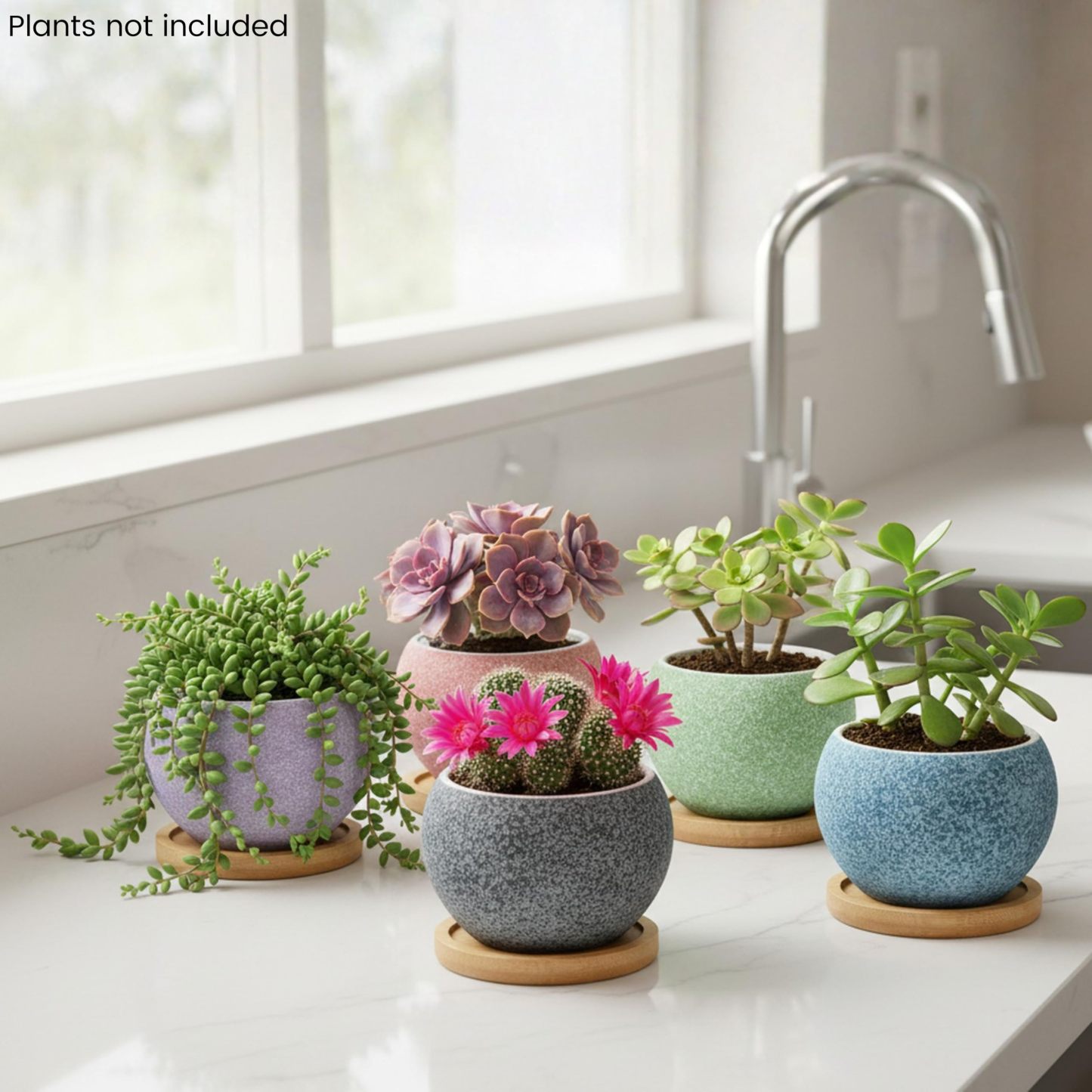 6 Pack 3 Inch Ceramic Succulent Pots, Small Planters with Drainage for Indoor Plants, Mini Cactus & 2 Inch Small Plants