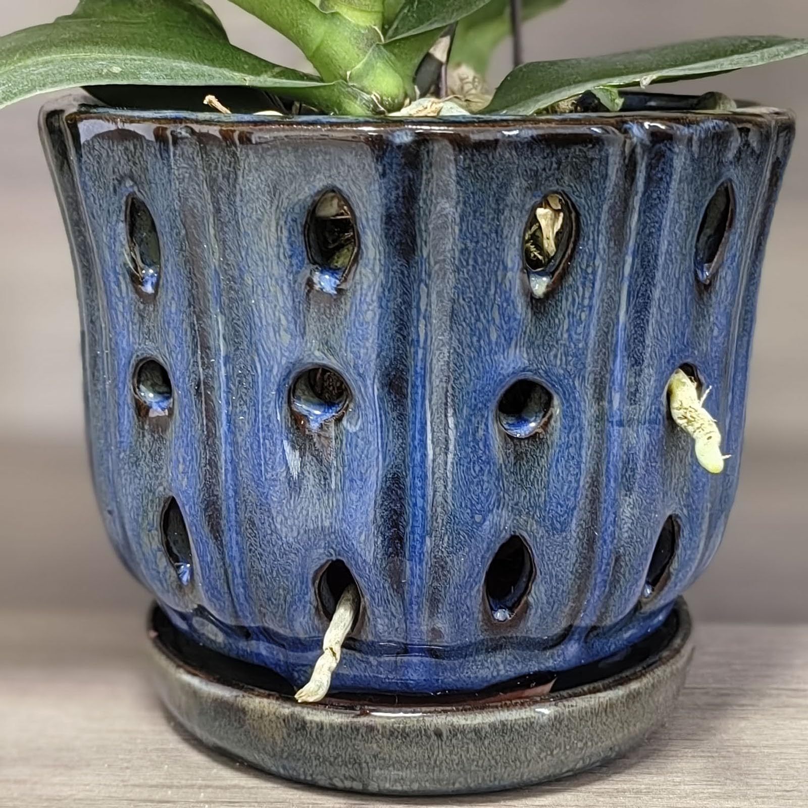 6 Inch Round Ceramic Orchid Pot with Holes, Premium Orchid Planter for Indoor Outdoor Use