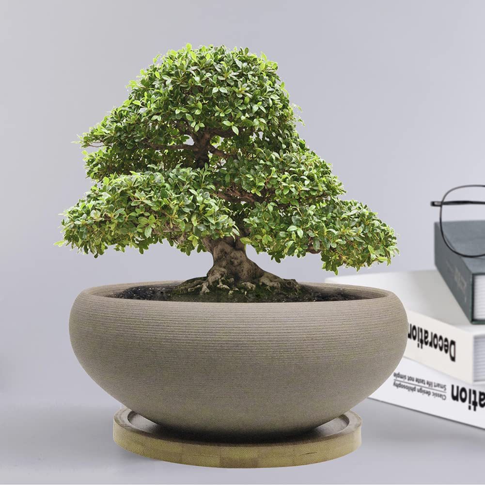 8 Inch Round Unglazed Ceramic Bonsai Pot with Bamboo Tray, Large Rough Pottery Succulent Planter with Drainage Hole