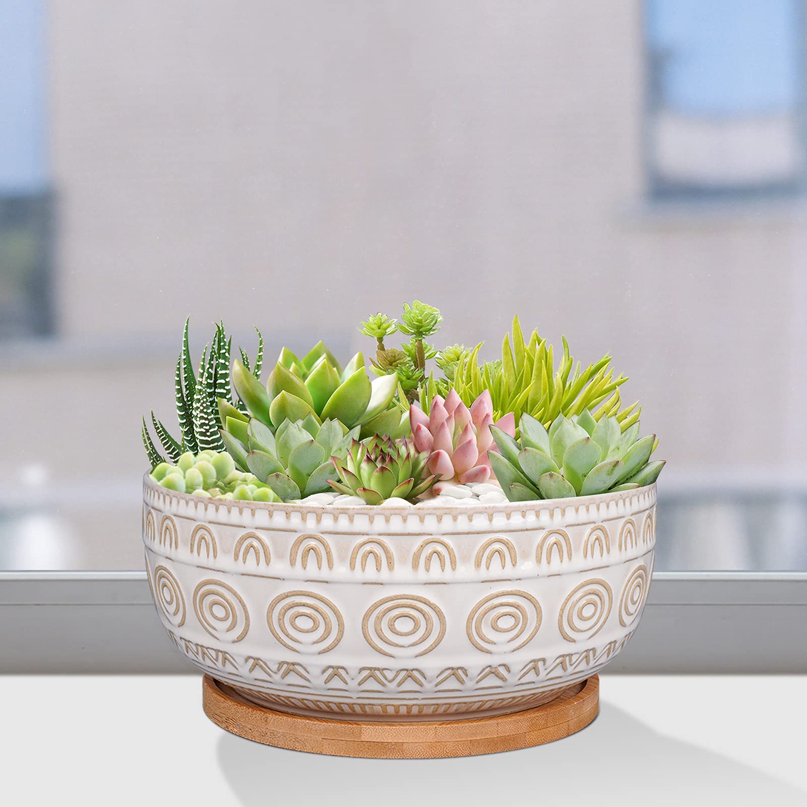 Eightpot 8 Inch Round Shallow Ceramic Succulent Planter with Drainage Hole & Saucer for Indoor Plants