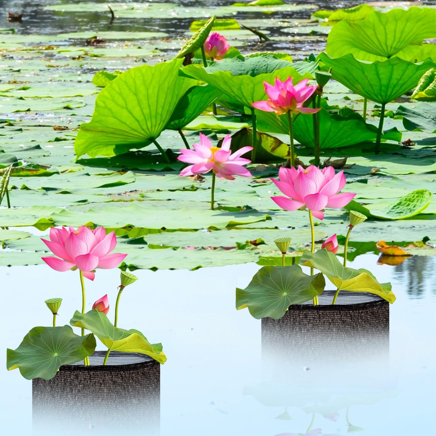 4 Pcs Reusable Mesh Aquatic Pond Planting Bags, 7.1" H x 7.2" Dia Black Round Breathable Planters for Pond Bog & Terrestrial Plants