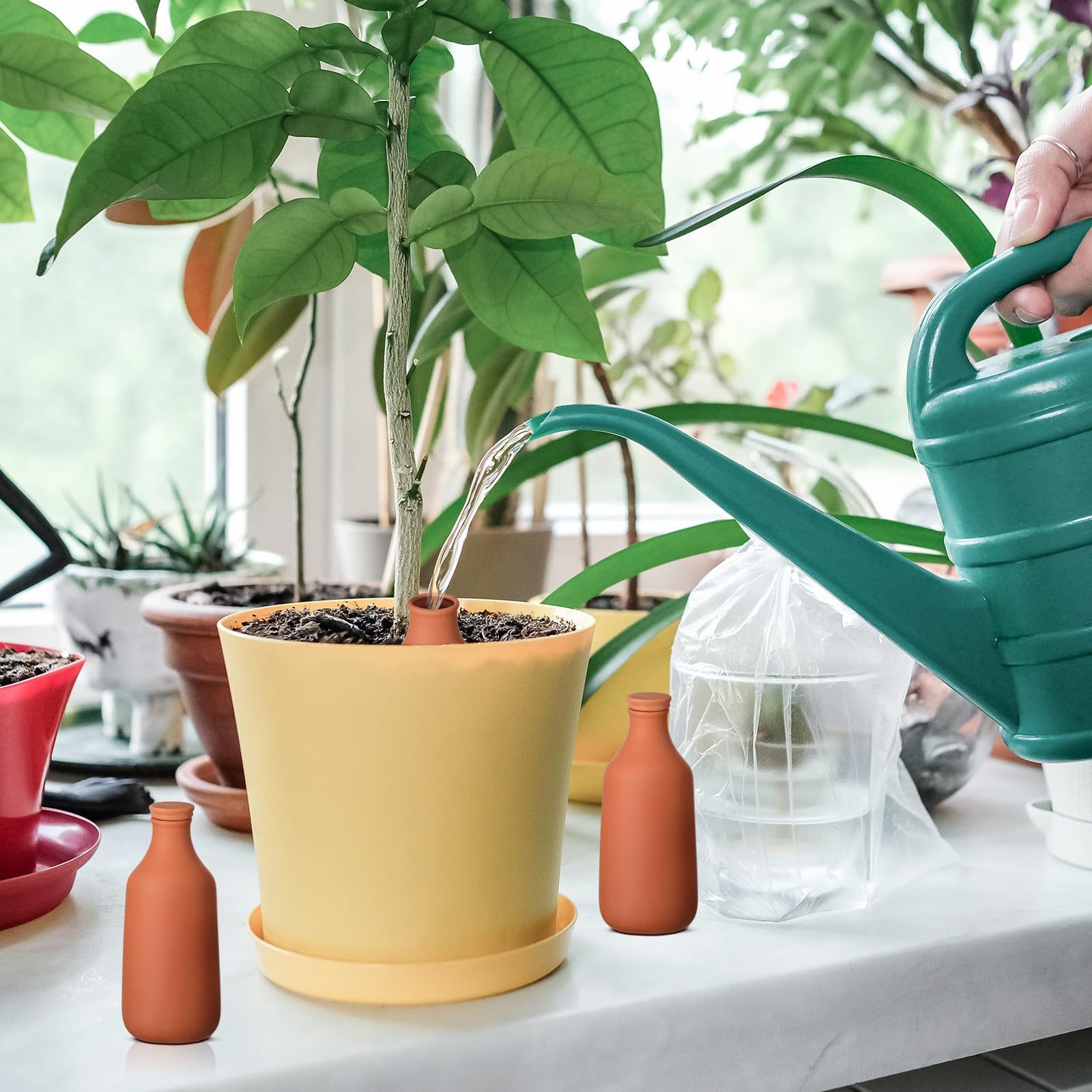 2 Pcs 24oz Terracotta Ollas Self Watering Planter Inserts, Clay Plant Watering Globes, Automatic Water Irrigation Pots for Indoor Outdoor Garden Plants, Easy Refill