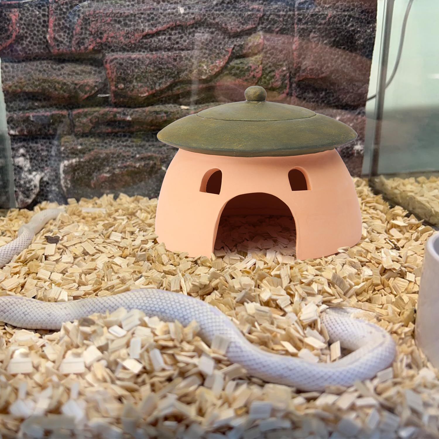 Terracotta Reptile Cave with Green Lid