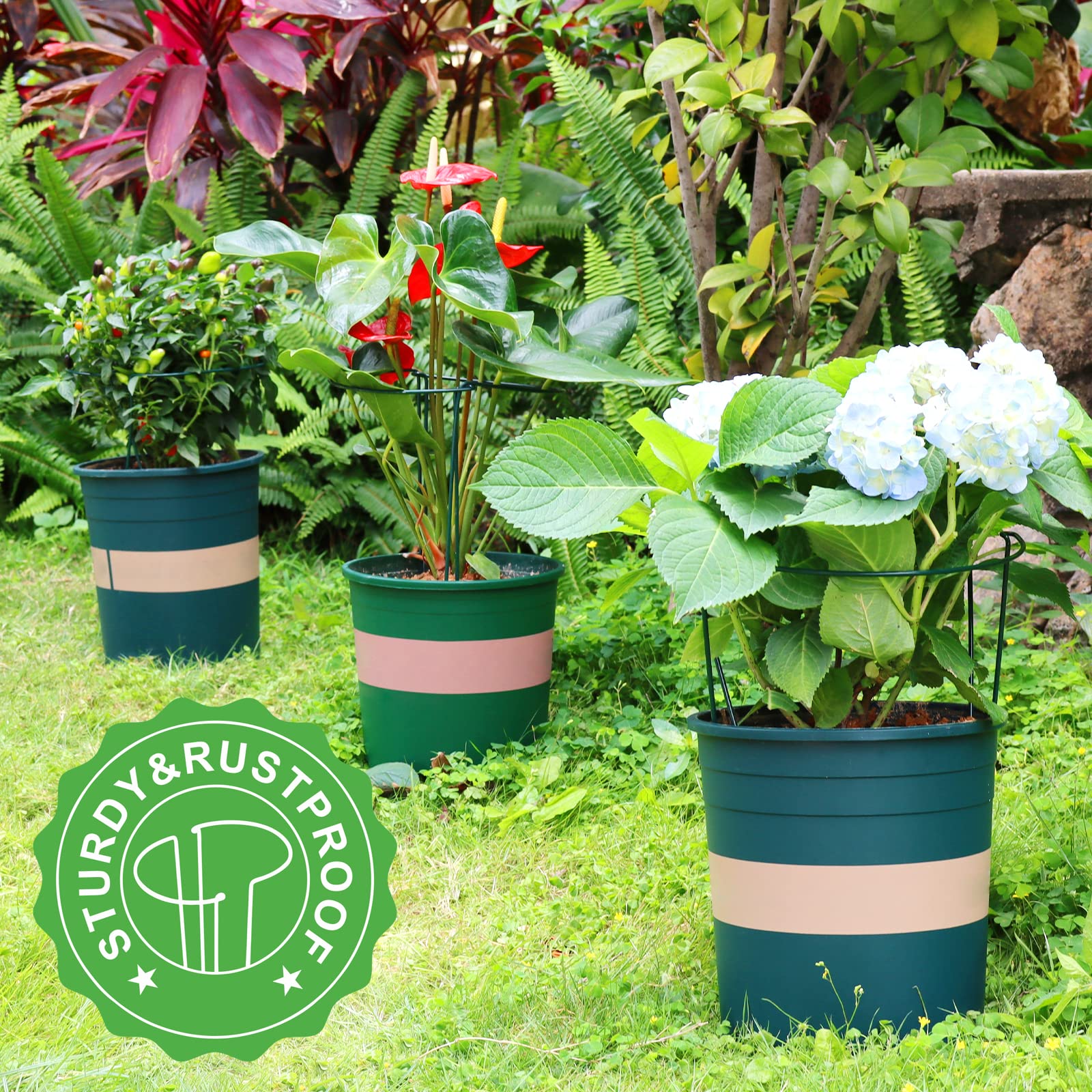 6 Pack Metal Plant Support Rings, 9.8" W x 15.7" H Garden Plant Stake Cages, Peony & Tomato Support Stands for Hydrangea, Flowers and Indoor Plants