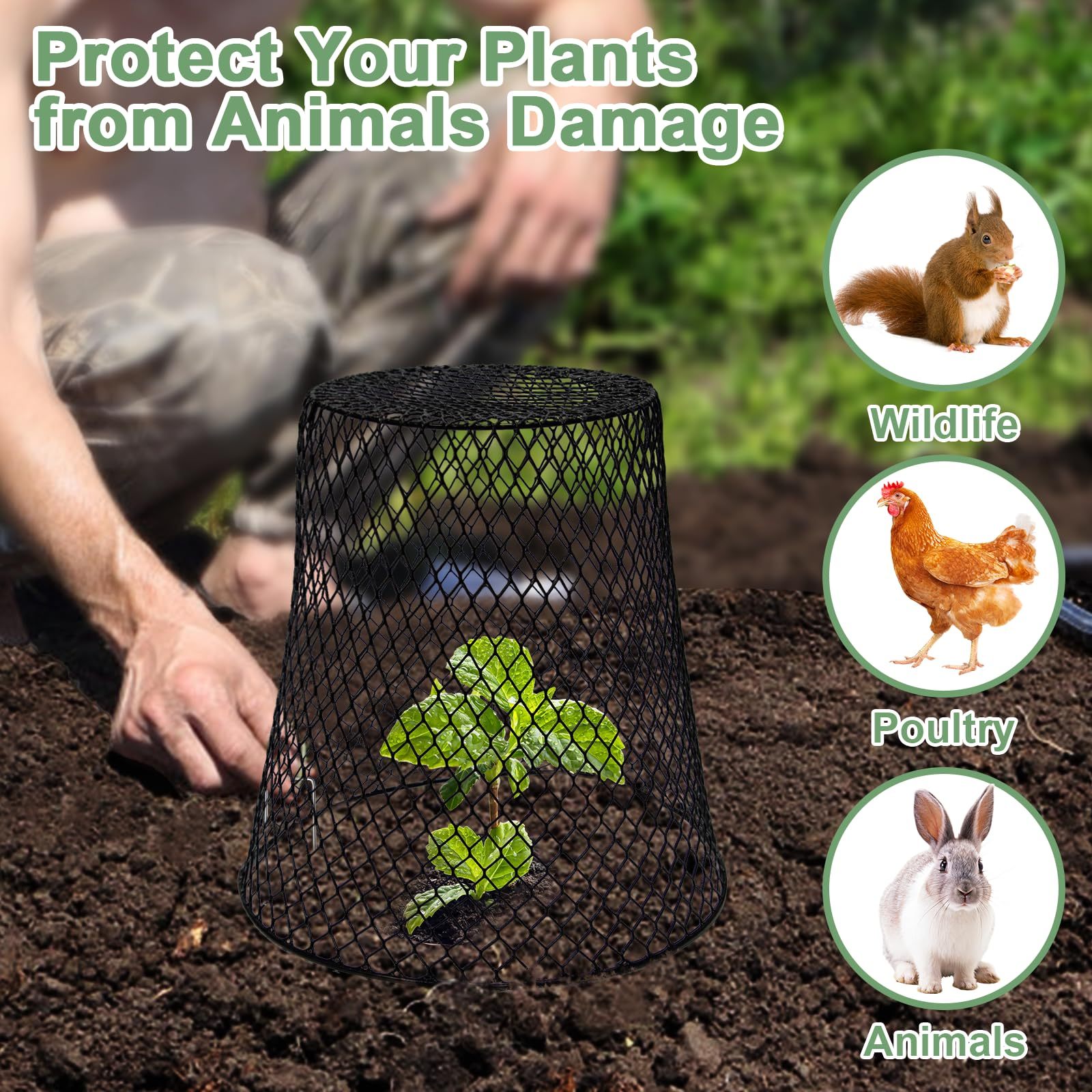 10 Pack 9.13" x 9.13" Heavy Duty Chicken Wire Plant Cloche, Garden Metal Mesh Plant Protector Cover, Animal Barrier to Keep Rabbits, Squirrels, Chickens, Birds Away from Garden Plants