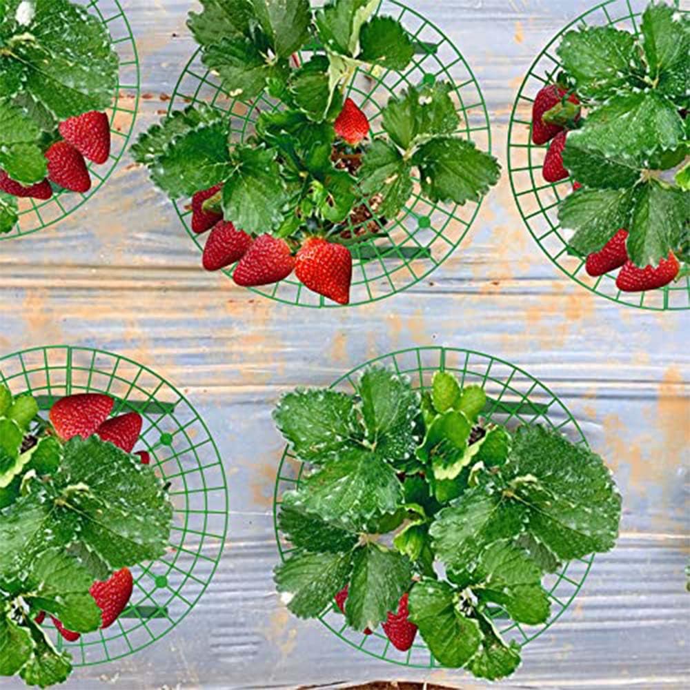5 Pack Strawberry Plant Support Frames, Strawberry Growing Racks with 4 Sturdy Legs, Keep Strawberries Clean & Prevent Rot