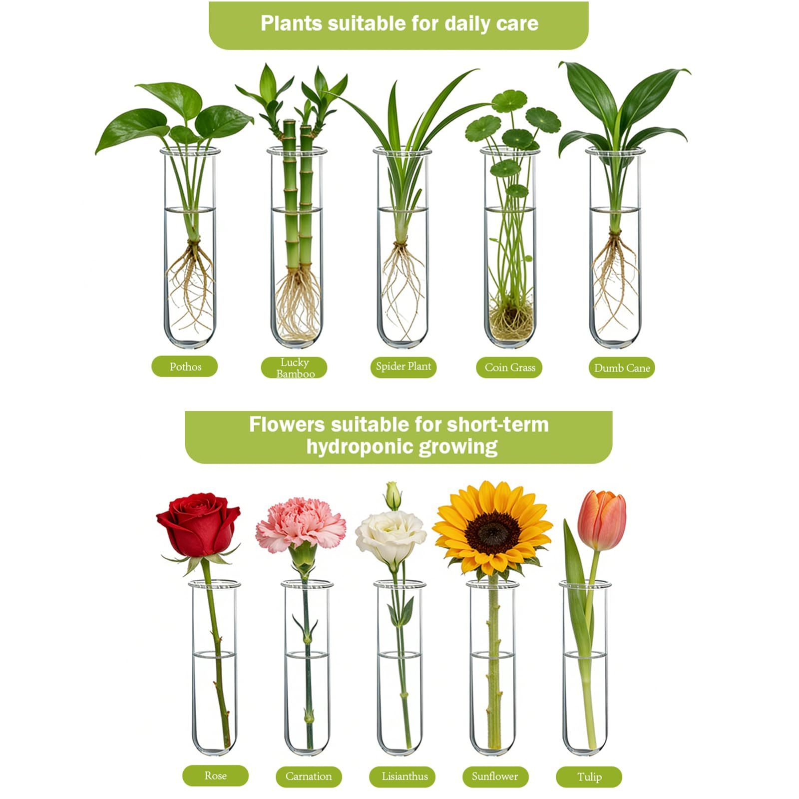 3-Tiered Wall Hanging Propagation Station, Wooden Stand with 5 Glass Test Tubes, Wall Terrarium Plant Hanger for Hydroponic Cuttings, Home Office Wall Decor Flower Vases