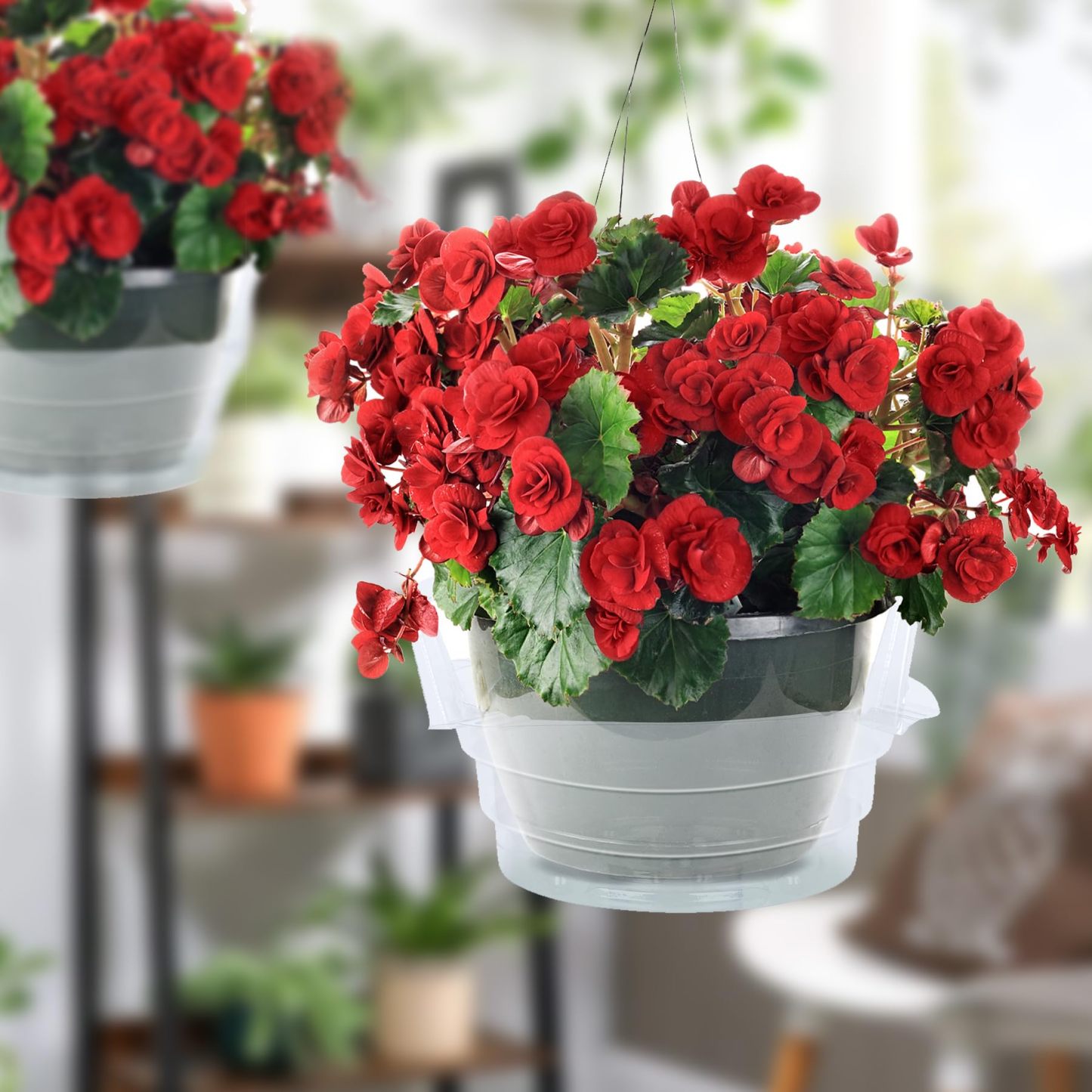 15 Pcs 10 Inch Clear Hanging Basket Water Catcher, Round Plastic Plant Drip Tray Saucer Liner, Indoor Outdoor Hanging Flower Pot Drip Pan for Plants