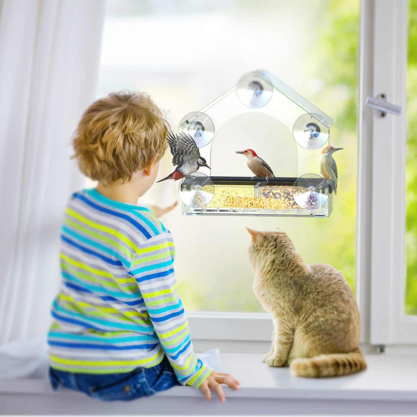 Clear Window Bird Feeder with 5 Extra Strong Suction Cups, Sturdy Acrylic Outdoor Bird Feeder for Wild Bird Watching, Garden Decor & Bird Lover Gift