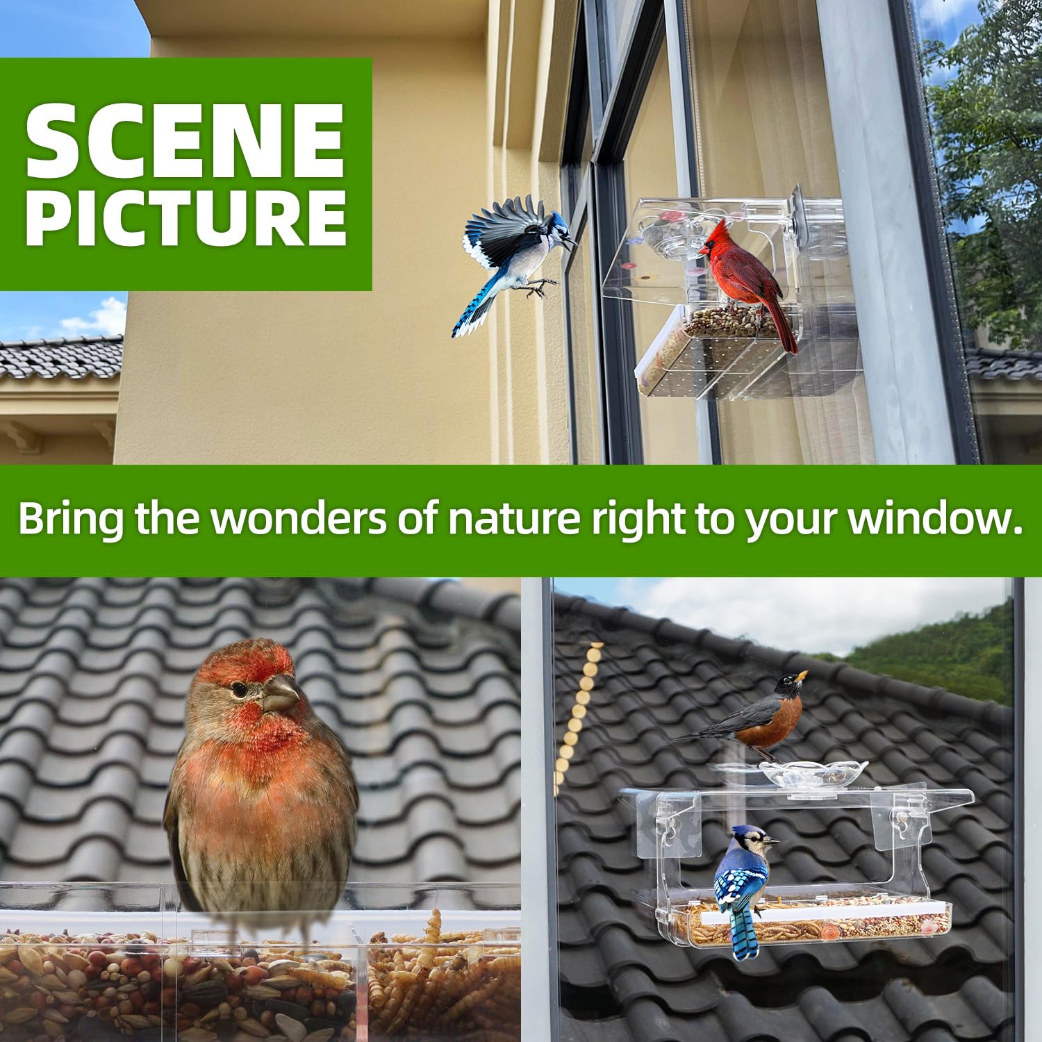 Window Bird Feeder with Non-Marking Self-Adhesive Hooks, Clear Transparent Design for Outdoor Wild Bird Watching & Garden Decor