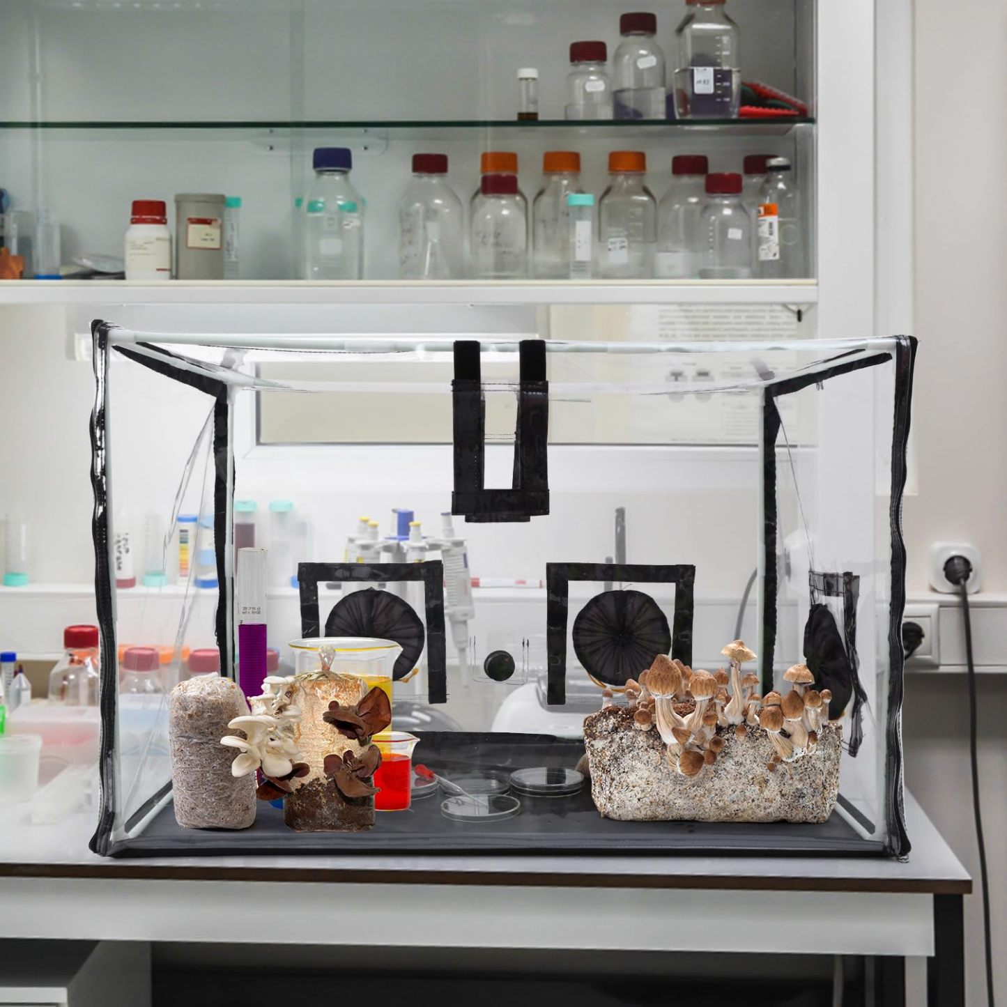 Large Still Air Box Mushroom Mycology Fume Hood Propagation StationsGrow Kit Mushroom Grow Bags Your Monotub Kit Mushroom Planting BagTent for Spores