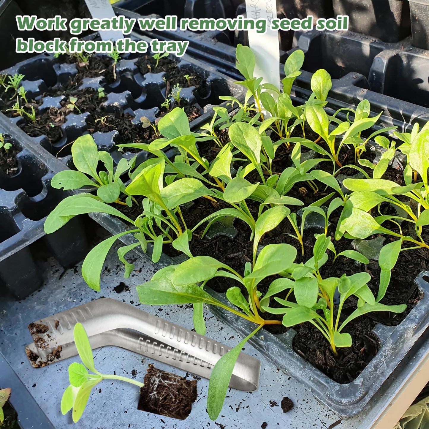 Seedling Transplant Tongs, Stainless Steel Seedling Transplanter Tool with Anti-Slip Tips, Root-Friendly Seedling Remover for Garden Planting