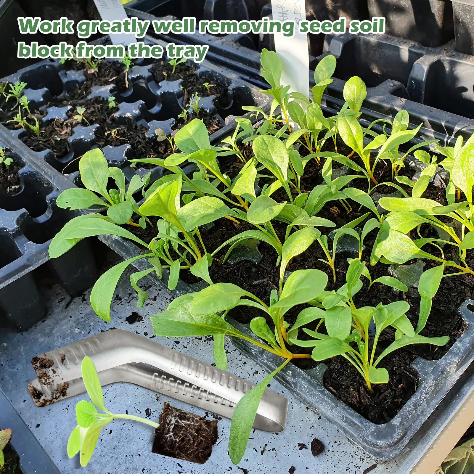 Seedling Transplant Tongs, Stainless Steel Seedling Transplanter Tool with Anti-Slip Tips, Root-Friendly Seedling Remover for Garden Planting