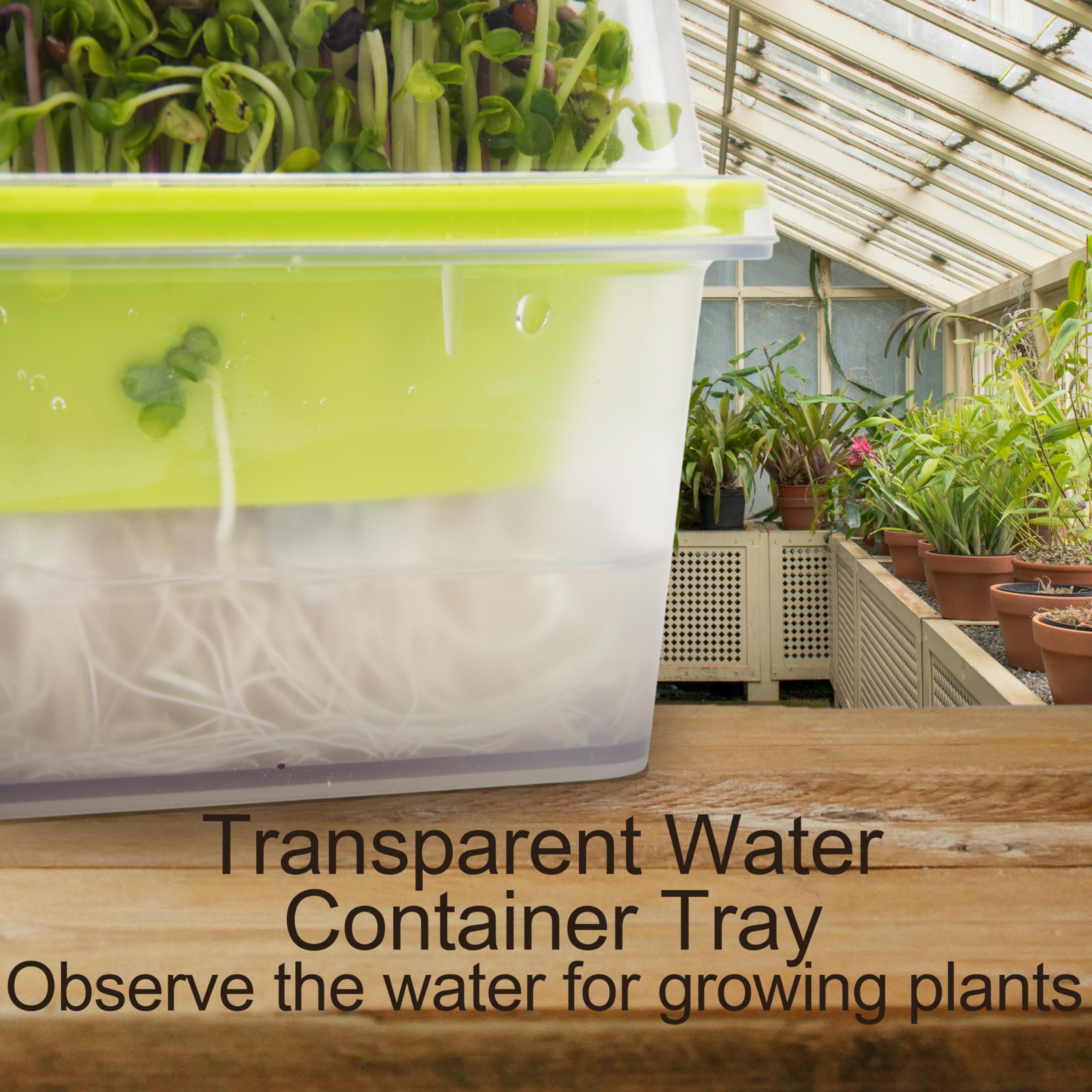 5" x 5" Microgreen Growing Trays with Humidity Dome, 4 Pack BPA Free Sprouting Trays, 1.2mm Small Mesh Holes for Broccoli, Alfalfa, Radish and Clover Seeds