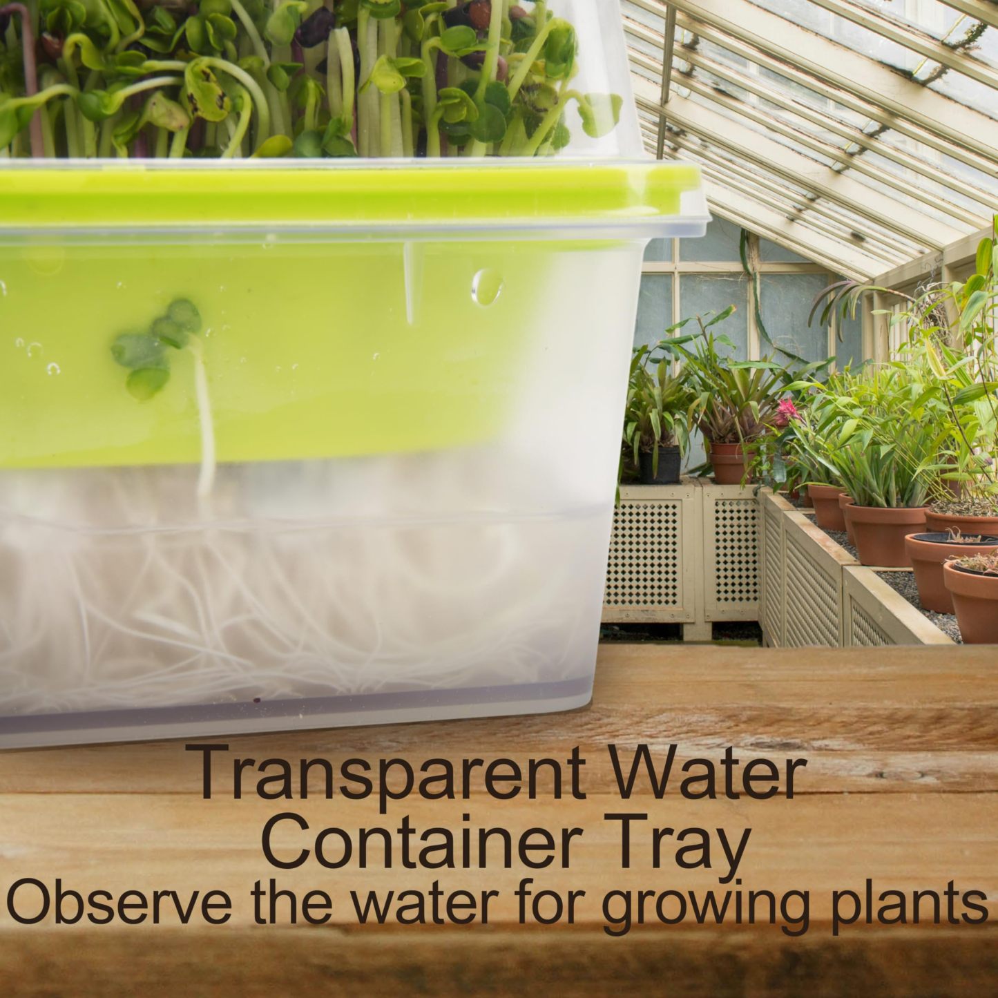 5" x 5" Microgreen Growing Trays with Humidity Dome, 4 Pack BPA Free Sprouting Trays, 1.2mm Small Mesh Holes for Broccoli, Alfalfa, Radish and Clover Seeds