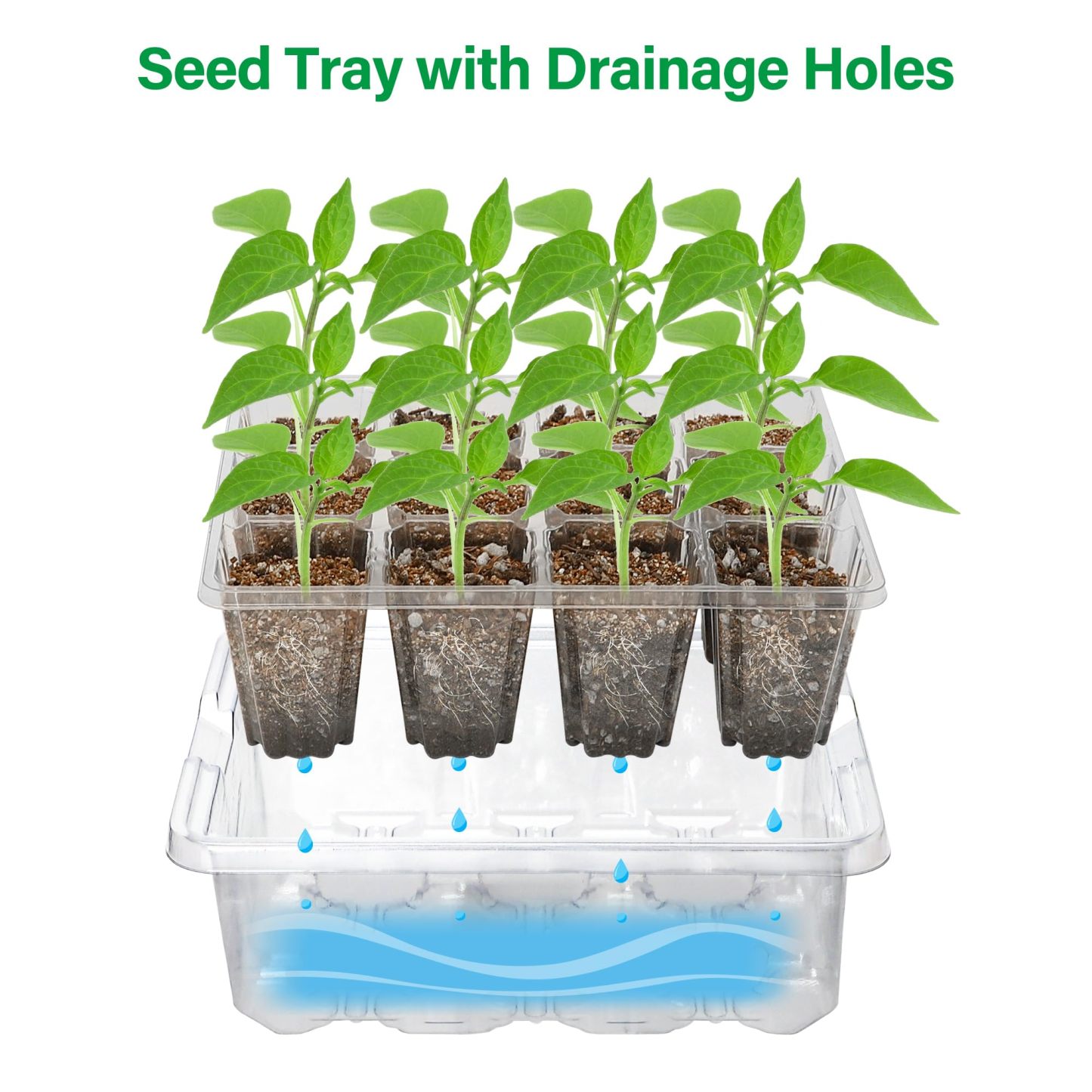 5 Packs Seed Starter Tray with Grow Light, Elevated Seedling Tray Kit with Adjustable Humidity Dome & Clear Cell Tray, 12 Full Spectrum LED Beads for Indoor Plant Germination
