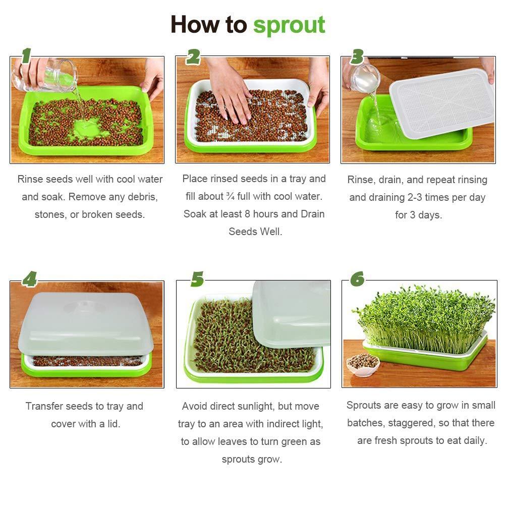 2 Pack Seed Sprouter Tray with Humidity Lid, BPA-Free Soil-Free Sprouting Kit, Large Capacity Microgreens Germination Tray for Wheatgrass, Beans, Peas, Cat Grass
