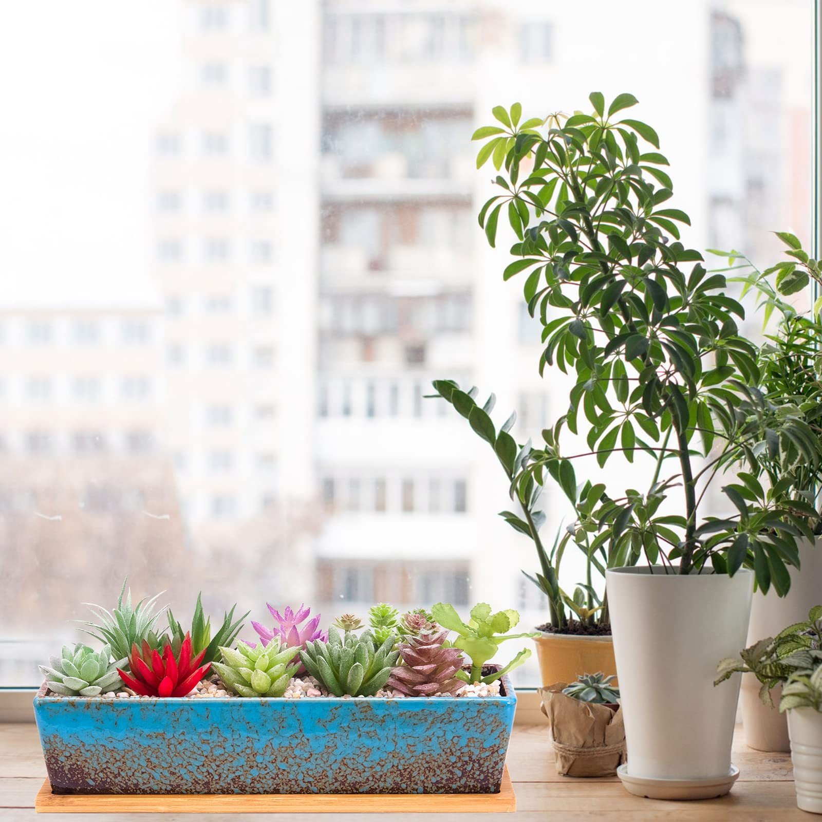 12 Inch Rectangular Ceramic Succulent Planter, Shallow Bonsai Flower Pot with Drainage Hole & Bamboo Tray, Home Garden Window Box for Cactus Plant Decor