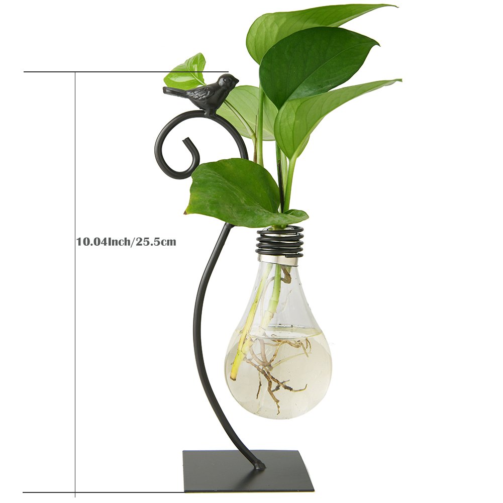 Modern Glass Hydroponic Vase Bulb Shaped Desktop Planter with Metal Holder for Home Decor