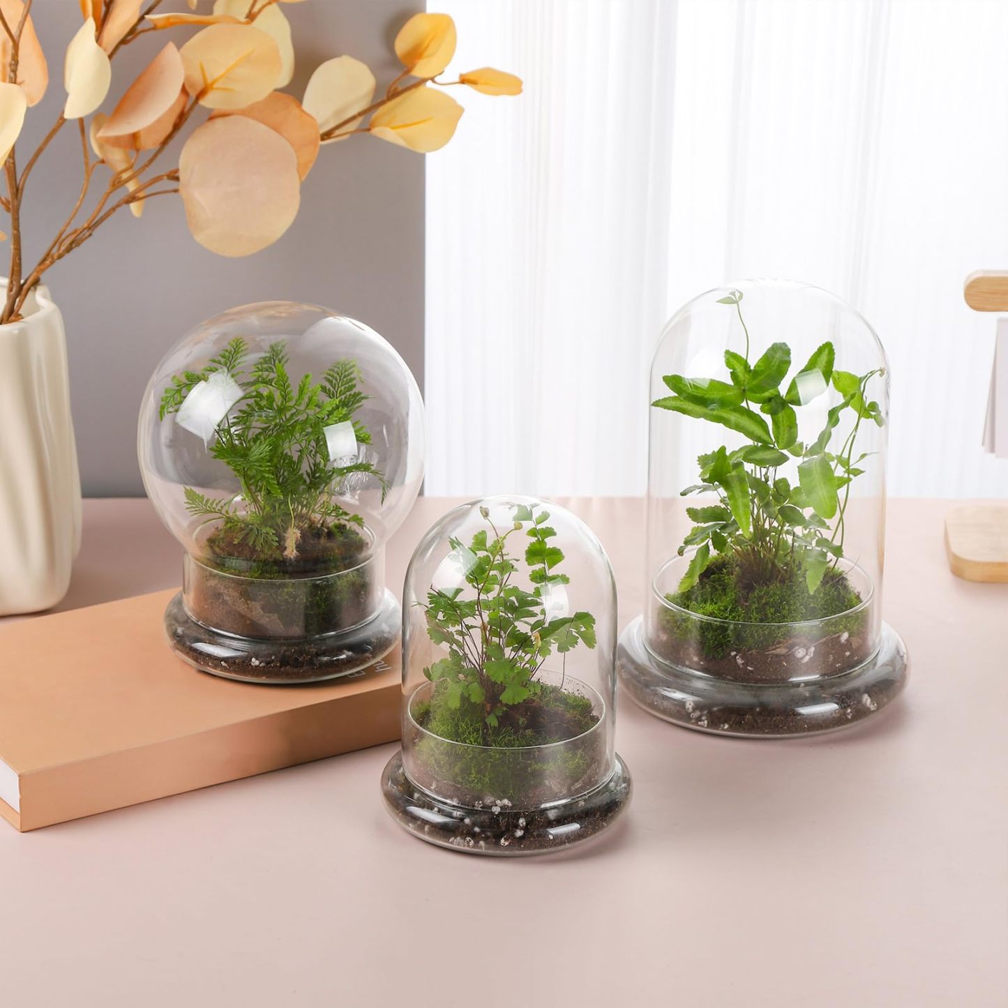 6 Inch Glass Cloche Dome with Base Mini Terrarium Cover Indoor Plant Home Display Decor
