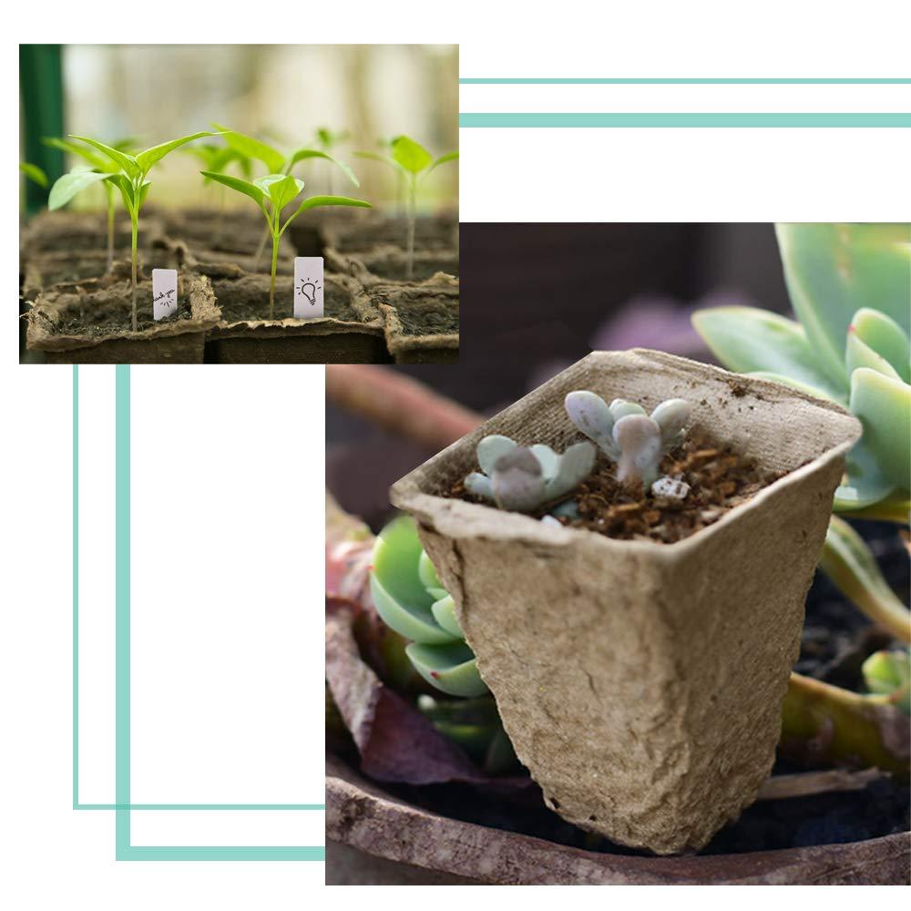 3.25" Biodegradable Peat Seed Starter Pots