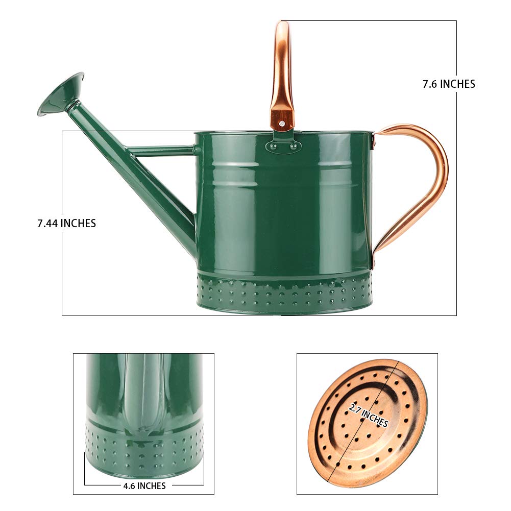 1 Gallon Galvanized Steel Watering Can, Metal Water Can with Removable Spout & Embossed Design for Indoor Outdoor Plants