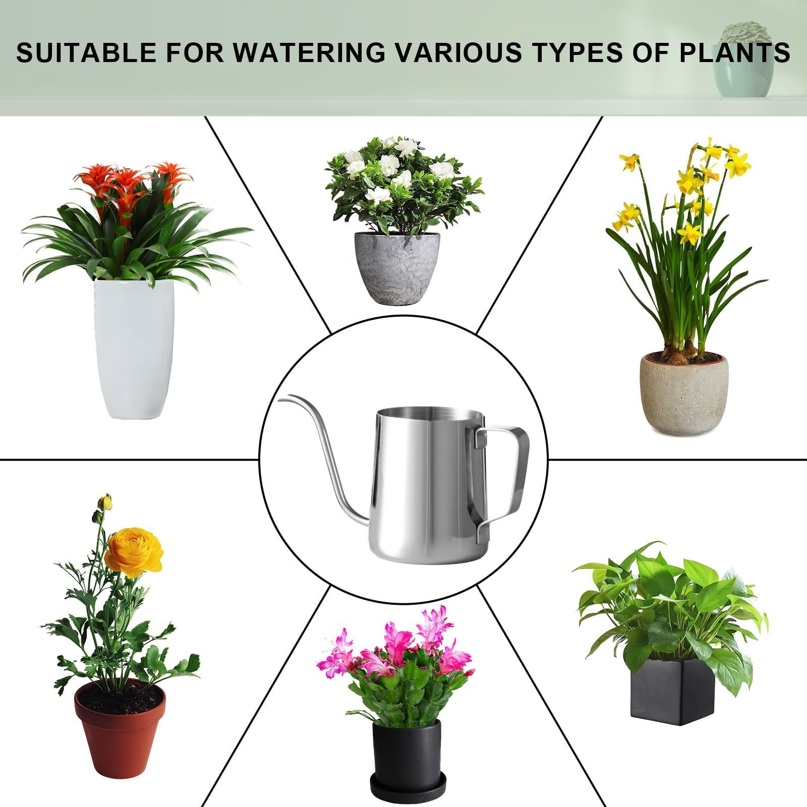 12 Oz / 350ml 304 Stainless Steel Mini Watering Can, Rust-Proof Long Spout Water Pot with Handle for Indoor Plants