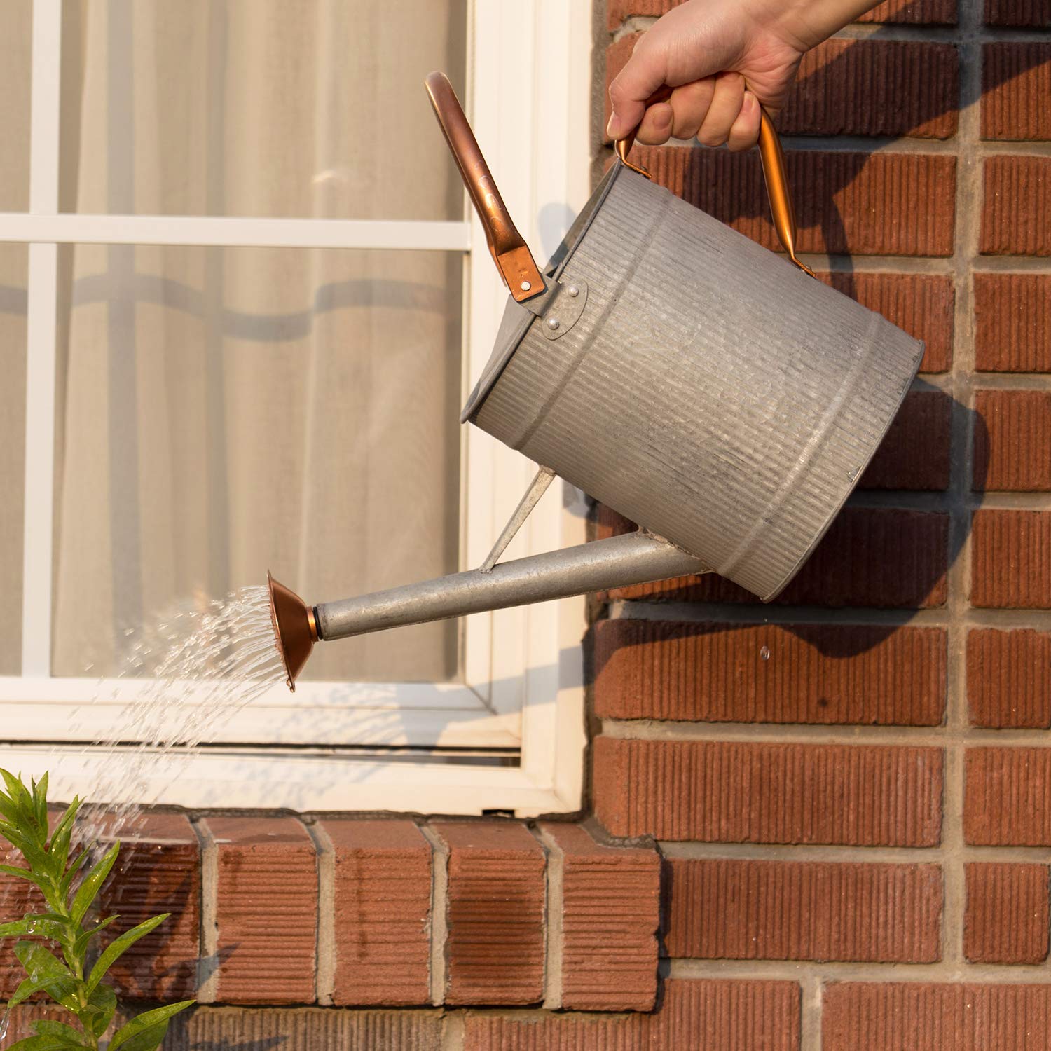 1 Gallon Galvanized Metal Watering Can with Removable Spout, Farmhouse Style for Indoor & Outdoor Plants