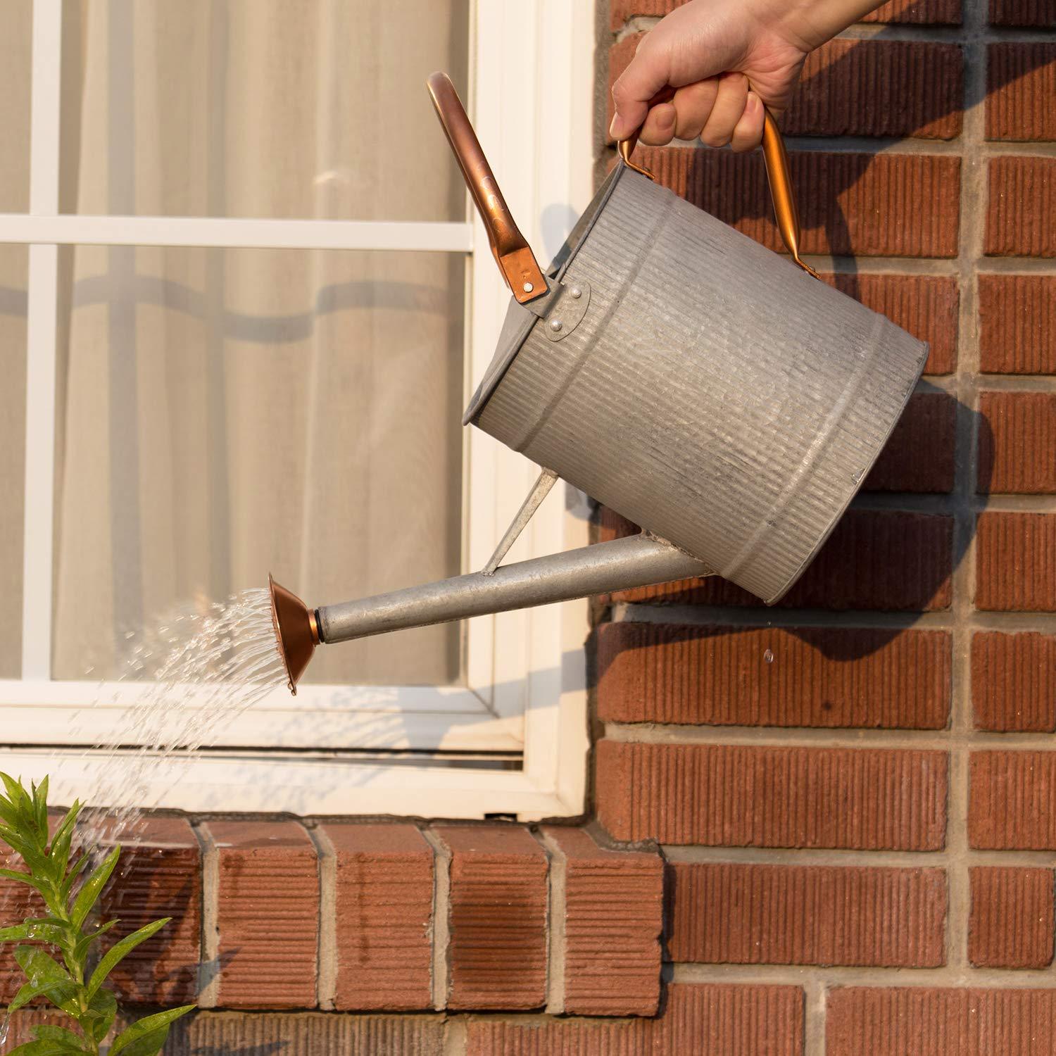 1 Gallon Galvanized Metal Watering Can with Removable Spout, Farmhouse Style for Indoor & Outdoor Plants