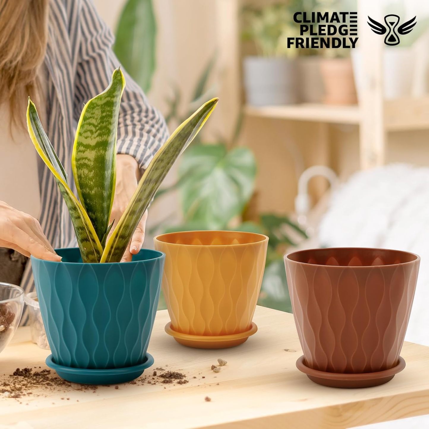 6 Inch Plant Pots 5 Pack Multicolor Indoor Outdoor Flower Pots, Planters with Drainage Holes & Saucers