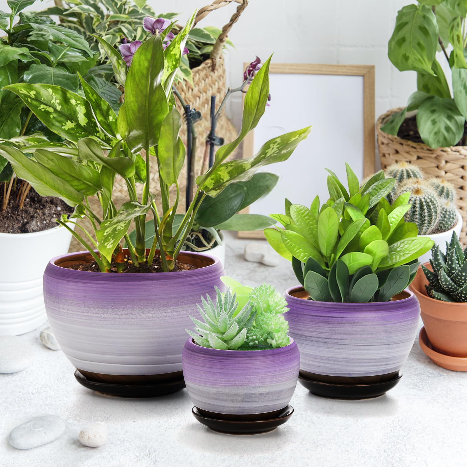 Set of 3 Ceramic Flower Pots with Drainage Holes & Saucers, 7/5/4 Inch Purple Round Planters for Succulents, Herbs, Cactus, Indoor & Outdoor Use