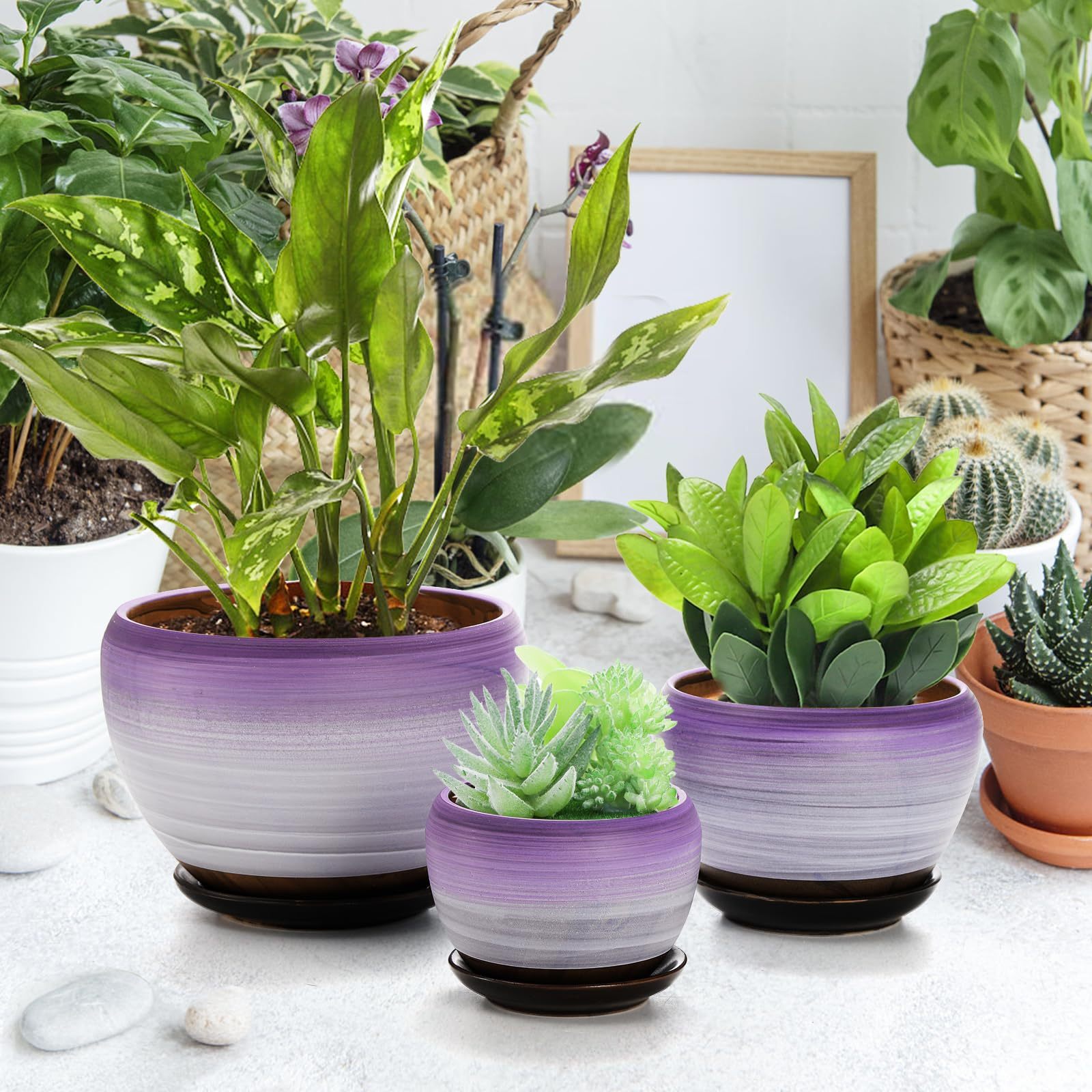 Set of 3 Ceramic Flower Pots with Drainage Holes & Saucers, 7/5/4 Inch Purple Round Planters for Succulents, Herbs, Cactus, Indoor & Outdoor Use