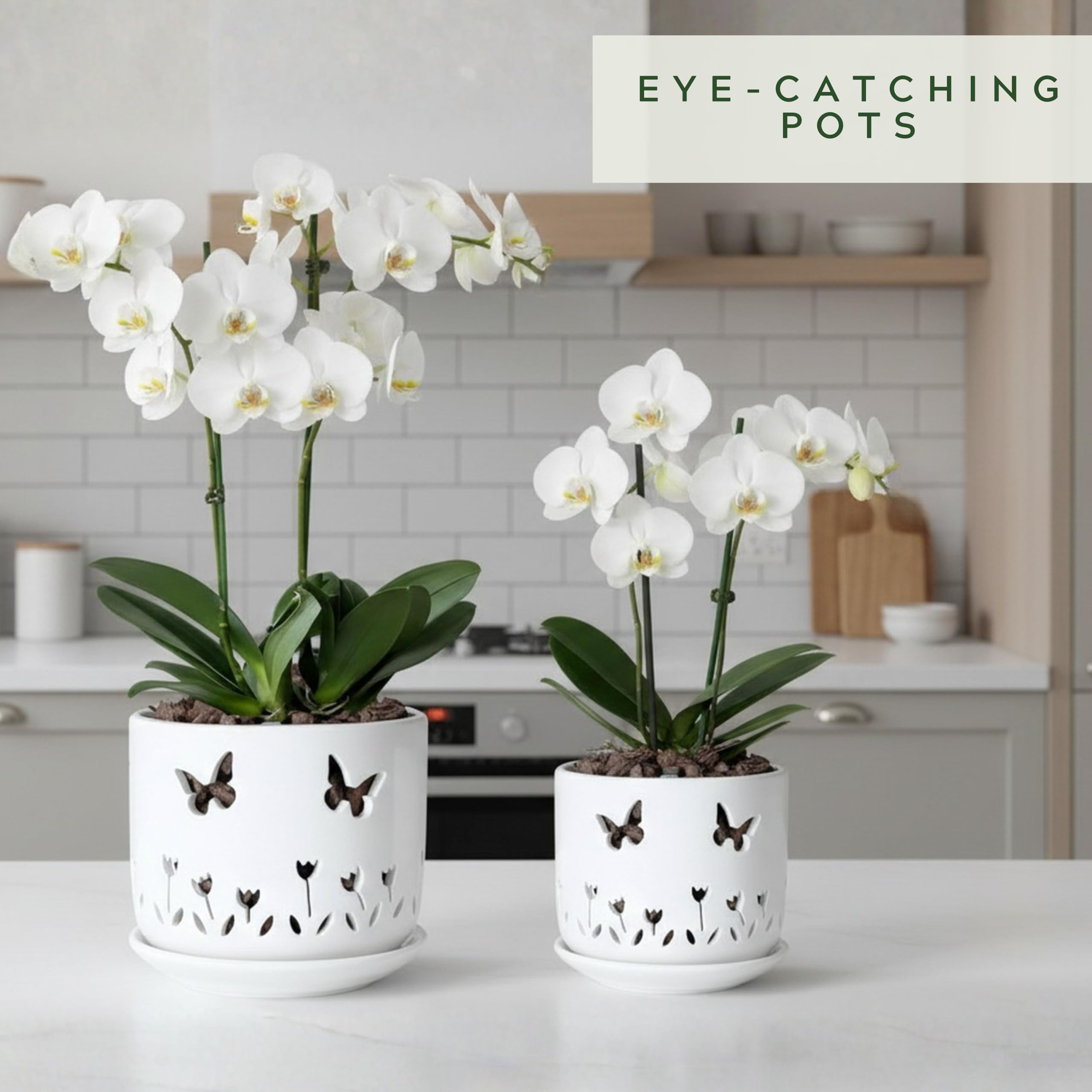 2 Pack White Ceramic Orchid Pots with Butterfly & Tulip Design, 5+6 Inch Planters with Drainage Holes & Saucers for Indoor Outdoor Repotting