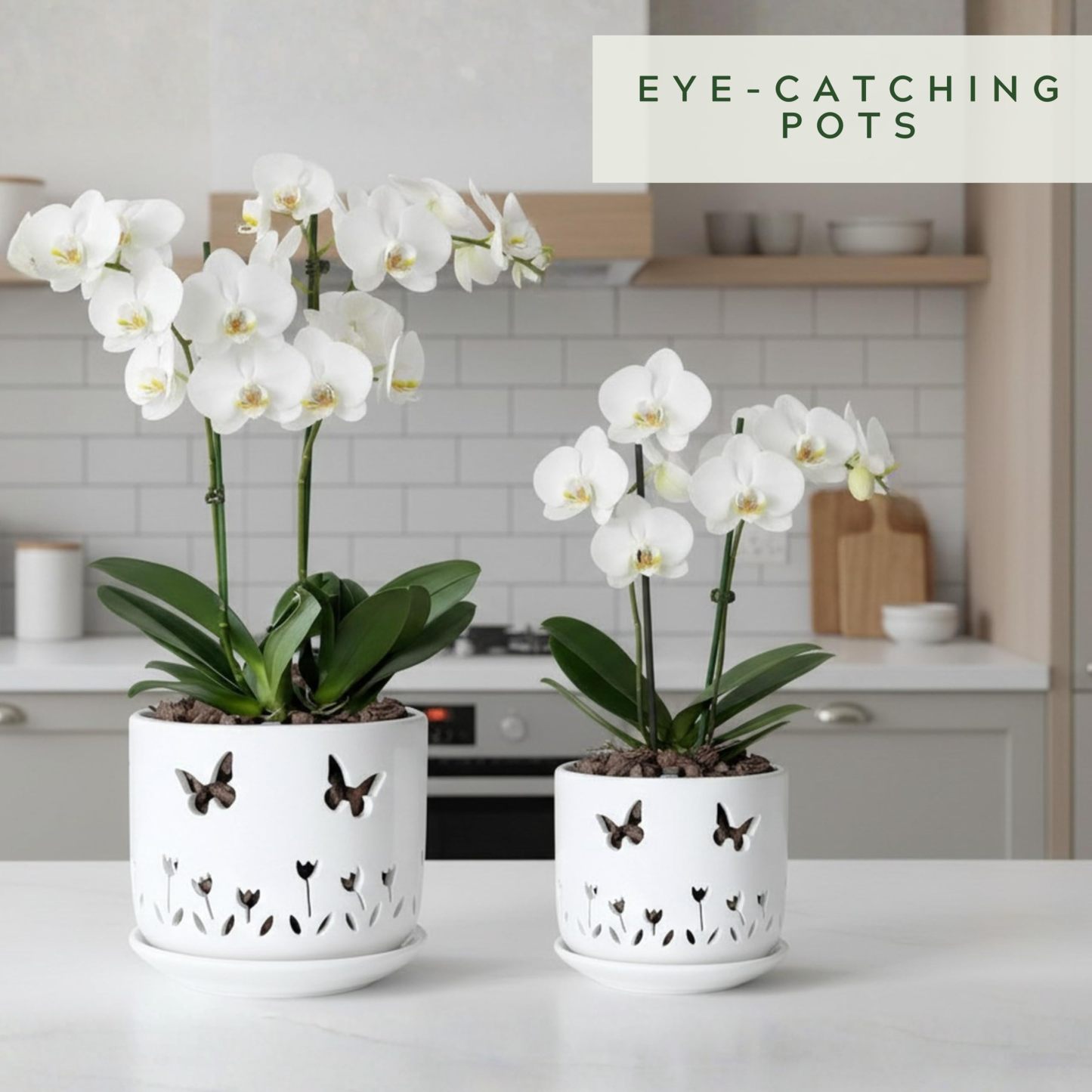 2 Pack White Ceramic Orchid Pots with Butterfly & Tulip Design, 5+6 Inch Planters with Drainage Holes & Saucers for Indoor Outdoor Repotting