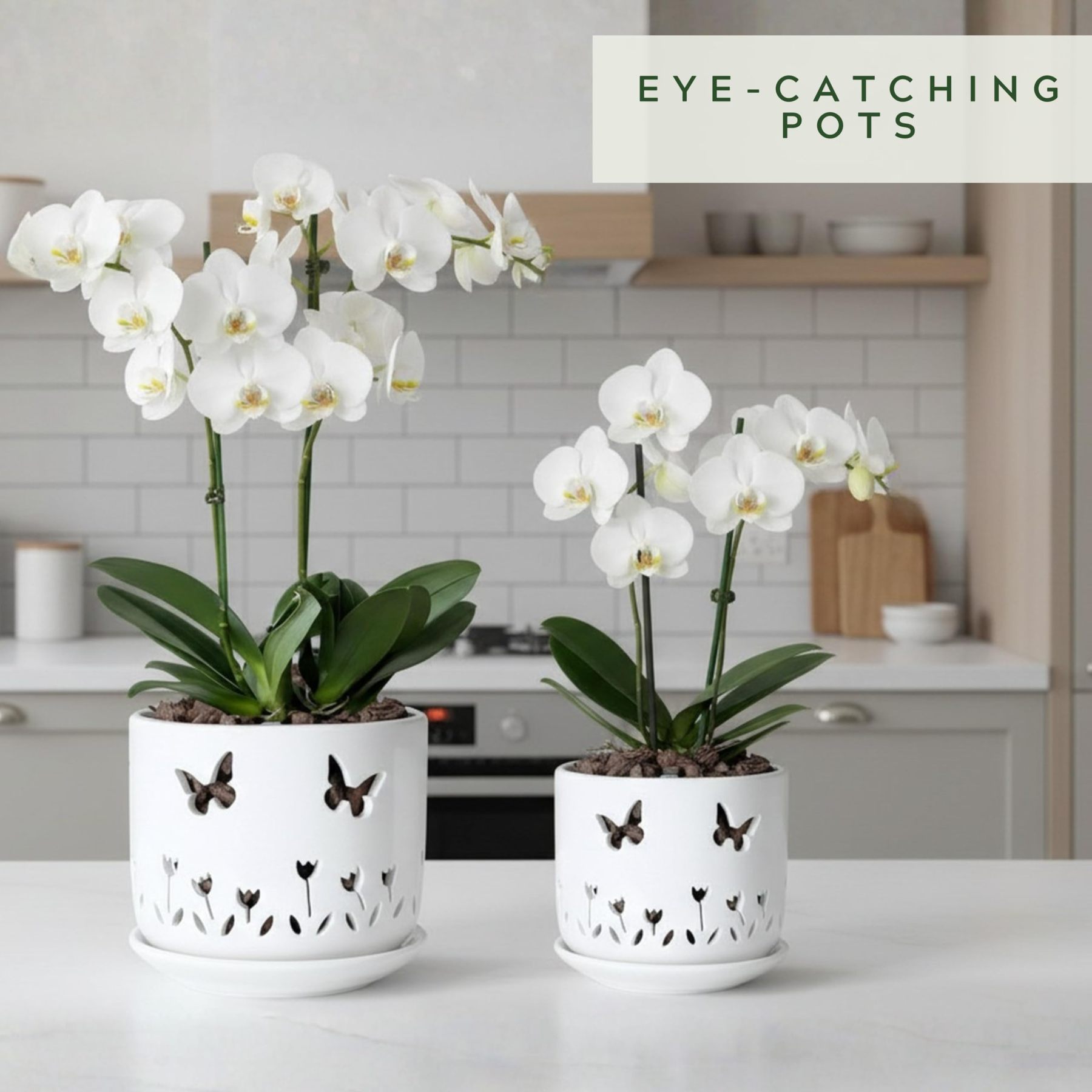 2 Pack White Ceramic Orchid Pots with Butterfly & Tulip Design, 5+6 Inch Planters with Drainage Holes & Saucers for Indoor Outdoor Repotting