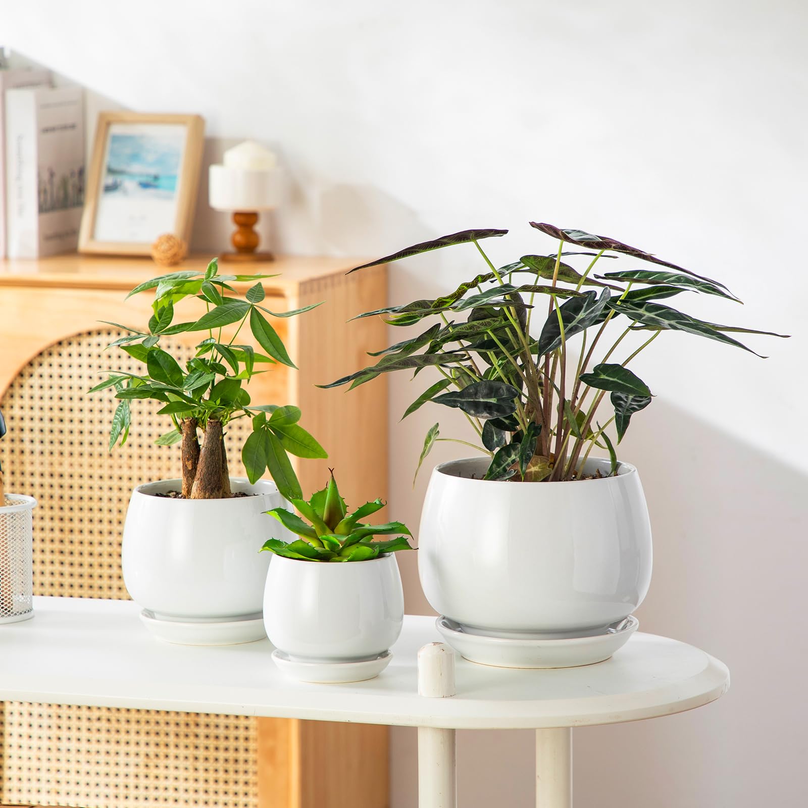 3-Pack White Ceramic Plant Pots, 3.7/4.8/6.2 Inch Indoor Planters with Drainage Holes & Saucers for Indoor Plants & Flowers