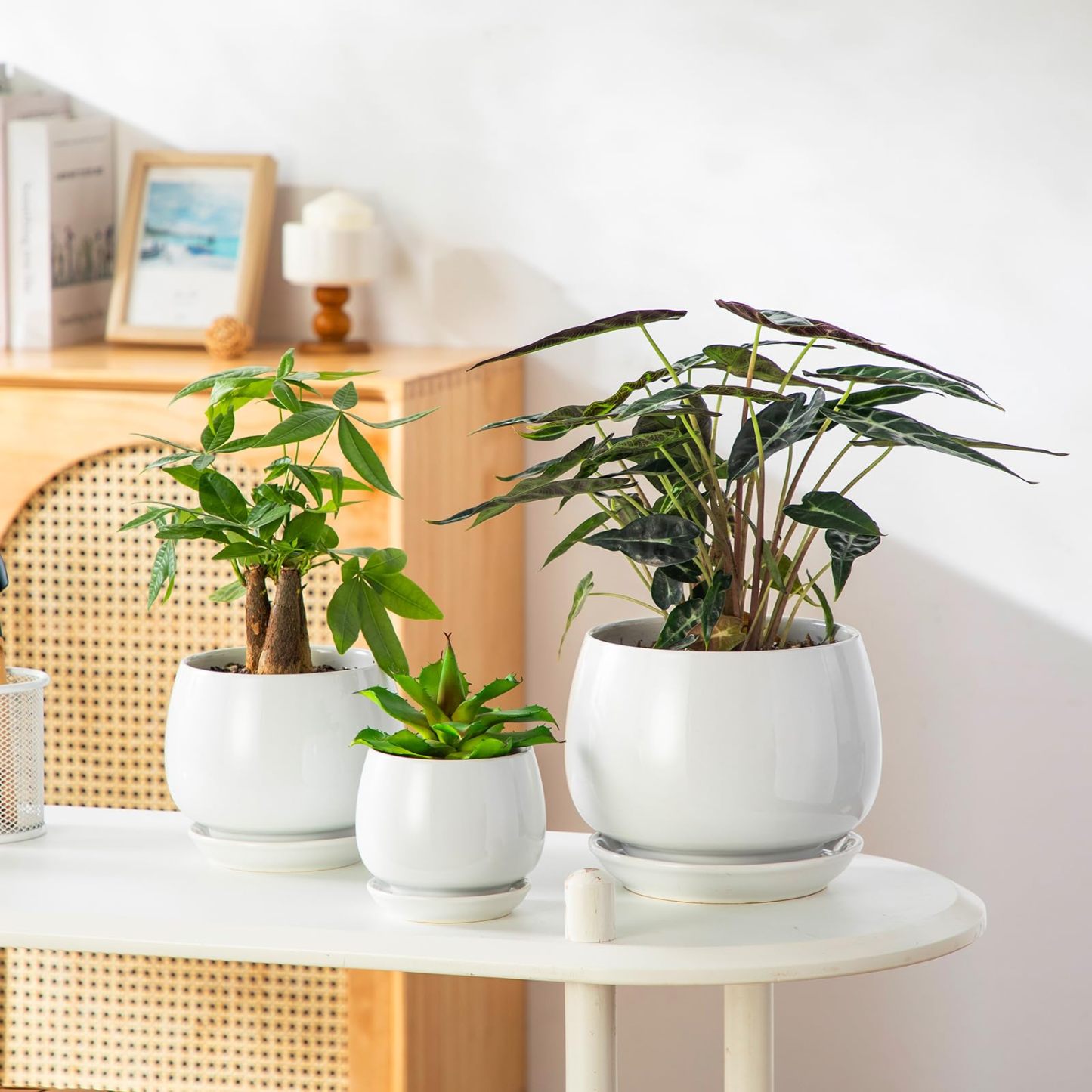 3-Pack White Ceramic Plant Pots, 3.7/4.8/6.2 Inch Indoor Planters with Drainage Holes & Saucers for Indoor Plants & Flowers