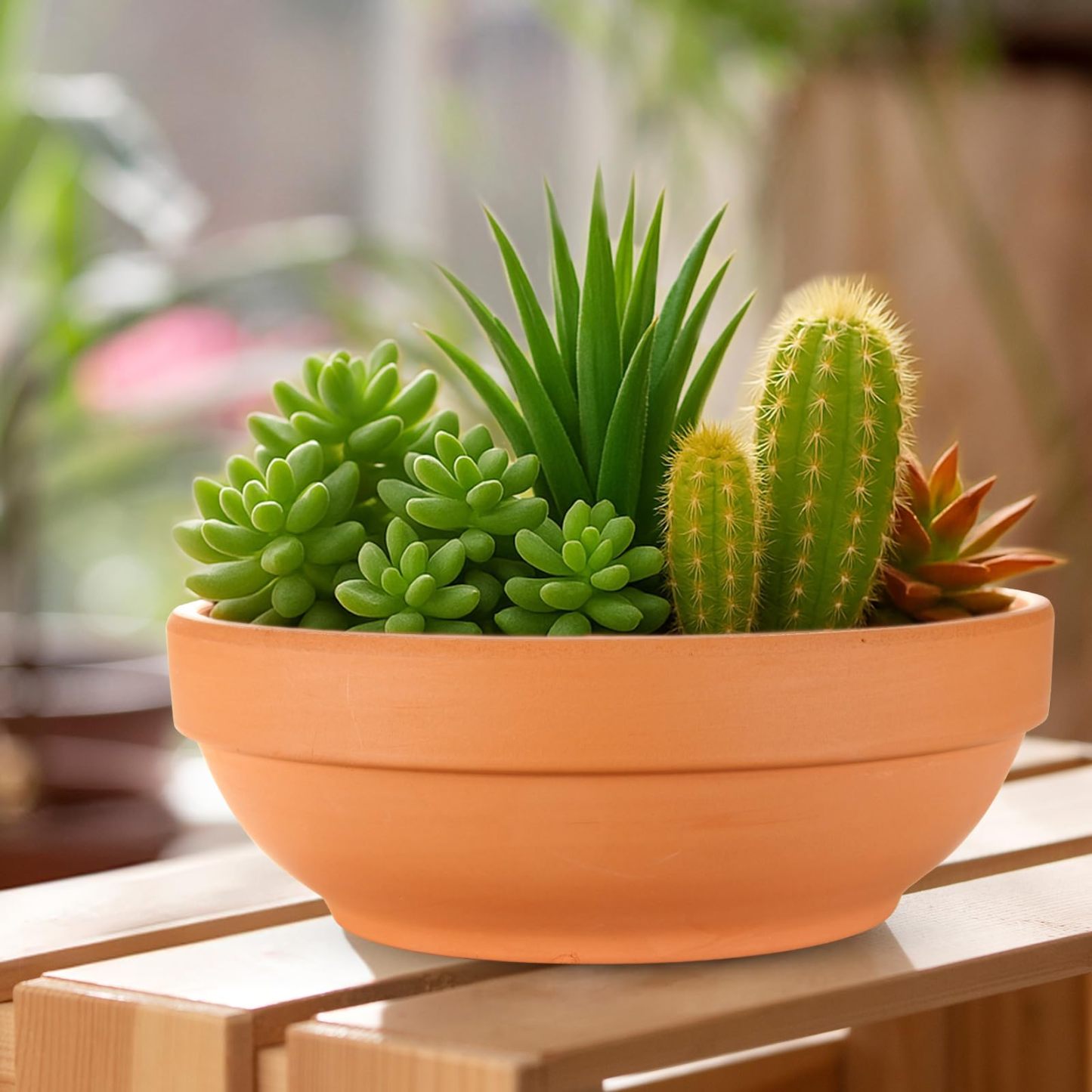 6 Pack 6.43 Inch Shallow Terra Cotta Pots, Clay Plant Pots with Drainage Hole for Indoor & Outdoor Plants