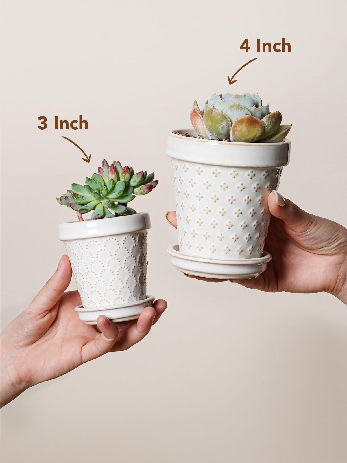 Set of 4 Arctic White Ceramic Succulent Pots, 4 Inch Small Embossed Planters with Drainage Hole & Saucer for Indoor Succulents & Cactus