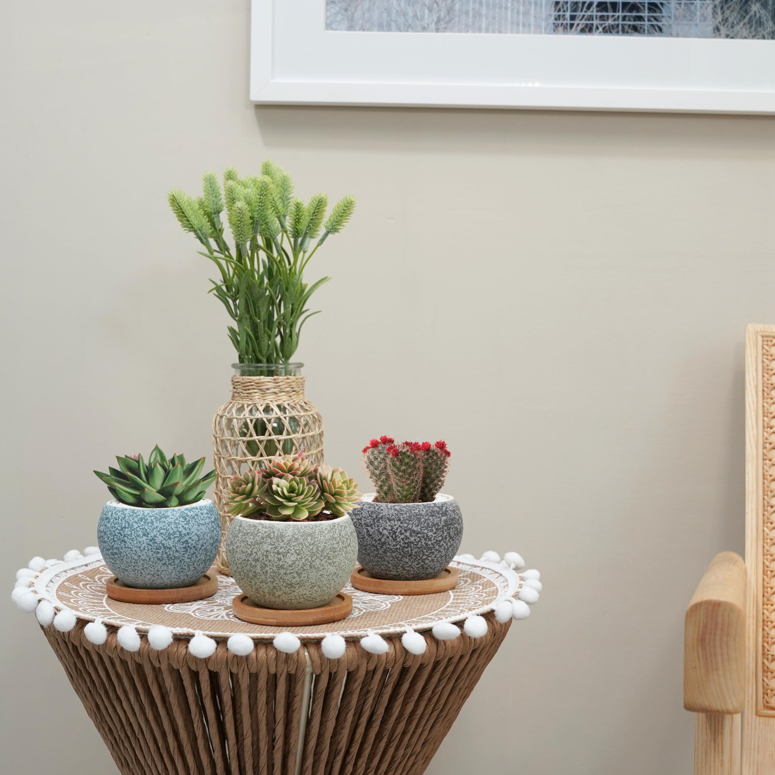 6 Pack 3 Inch Ceramic Succulent Pots, Small Planters with Drainage for Indoor Plants, Mini Cactus & 2 Inch Small Plants