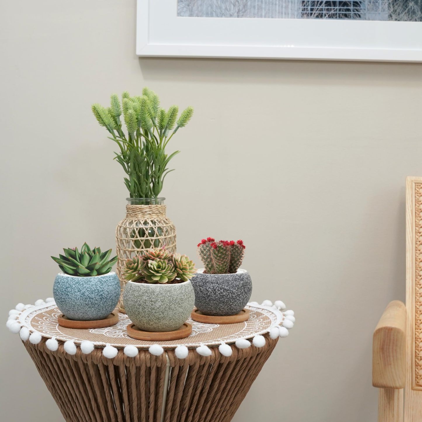 6 Pack 3 Inch Ceramic Succulent Pots, Small Planters with Drainage for Indoor Plants, Mini Cactus & 2 Inch Small Plants