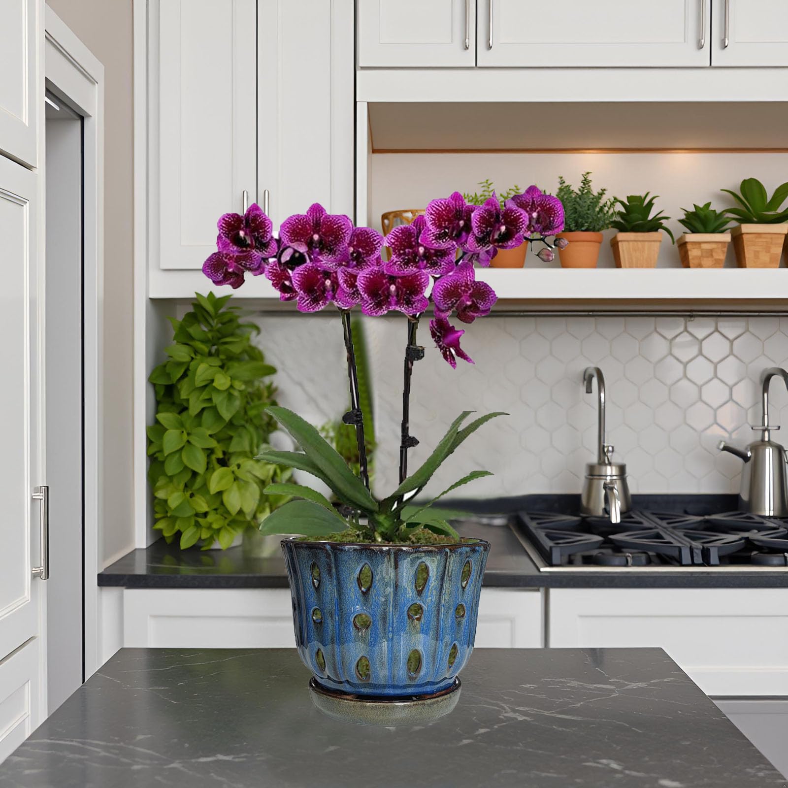 6 Inch Round Ceramic Orchid Pot with Holes, Premium Orchid Planter for Indoor Outdoor Use
