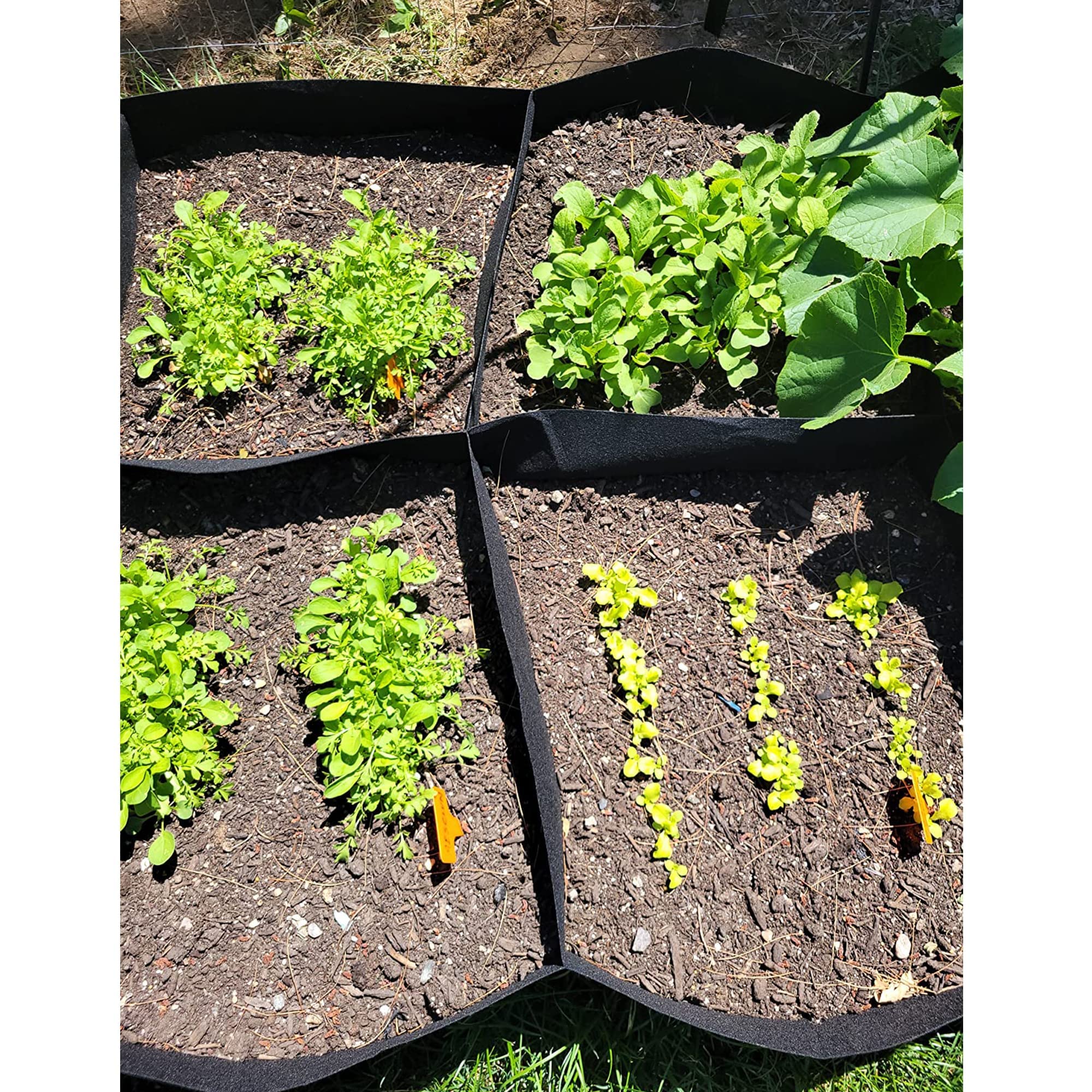 Fabric Raised Garden Bed, 128 Gallon 8 Grids 3x6FT Planter Bag, Rectangle Planting Container for Outdoor Gardening (Vegetables, Potatoes, Flowers)