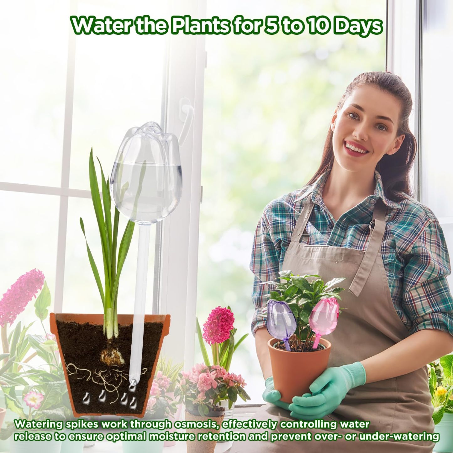 4 Pcs Tulip Shaped Self Watering Globes, Automatic Plastic Watering Bulbs for Indoor & Outdoor Plants