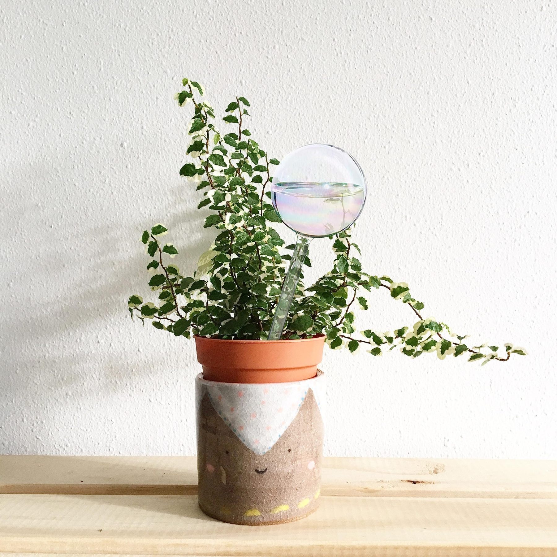 4 Pcs 9 Inch Iridescent Glass Self Watering Globes, Plant Watering Bulbs & Planter Inserts for Indoor & Outdoor Plants