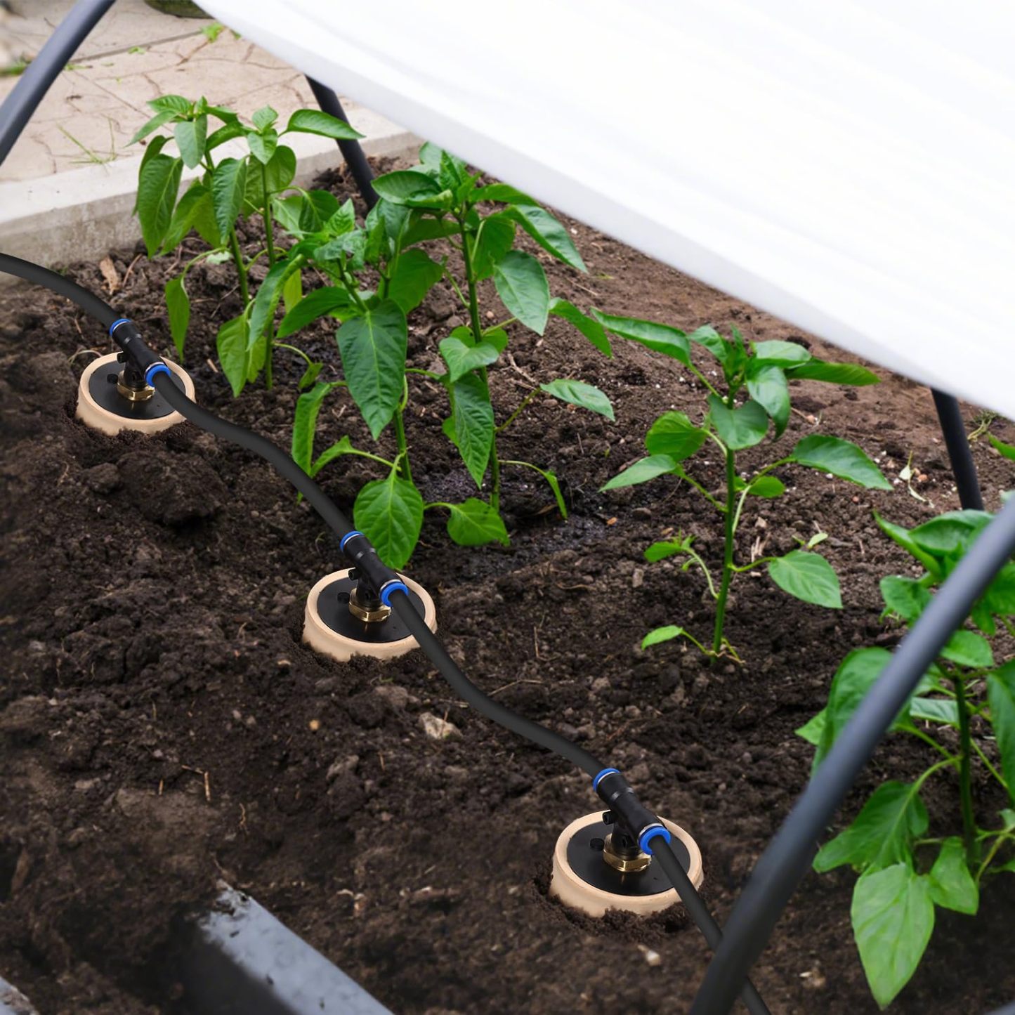 Plant Watering Globes Ollas Plant Watering Device